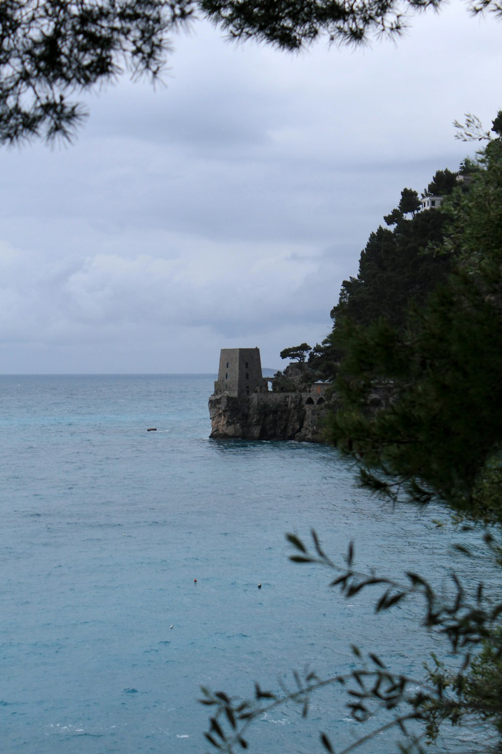 a body of water surrounded by trees and rocks