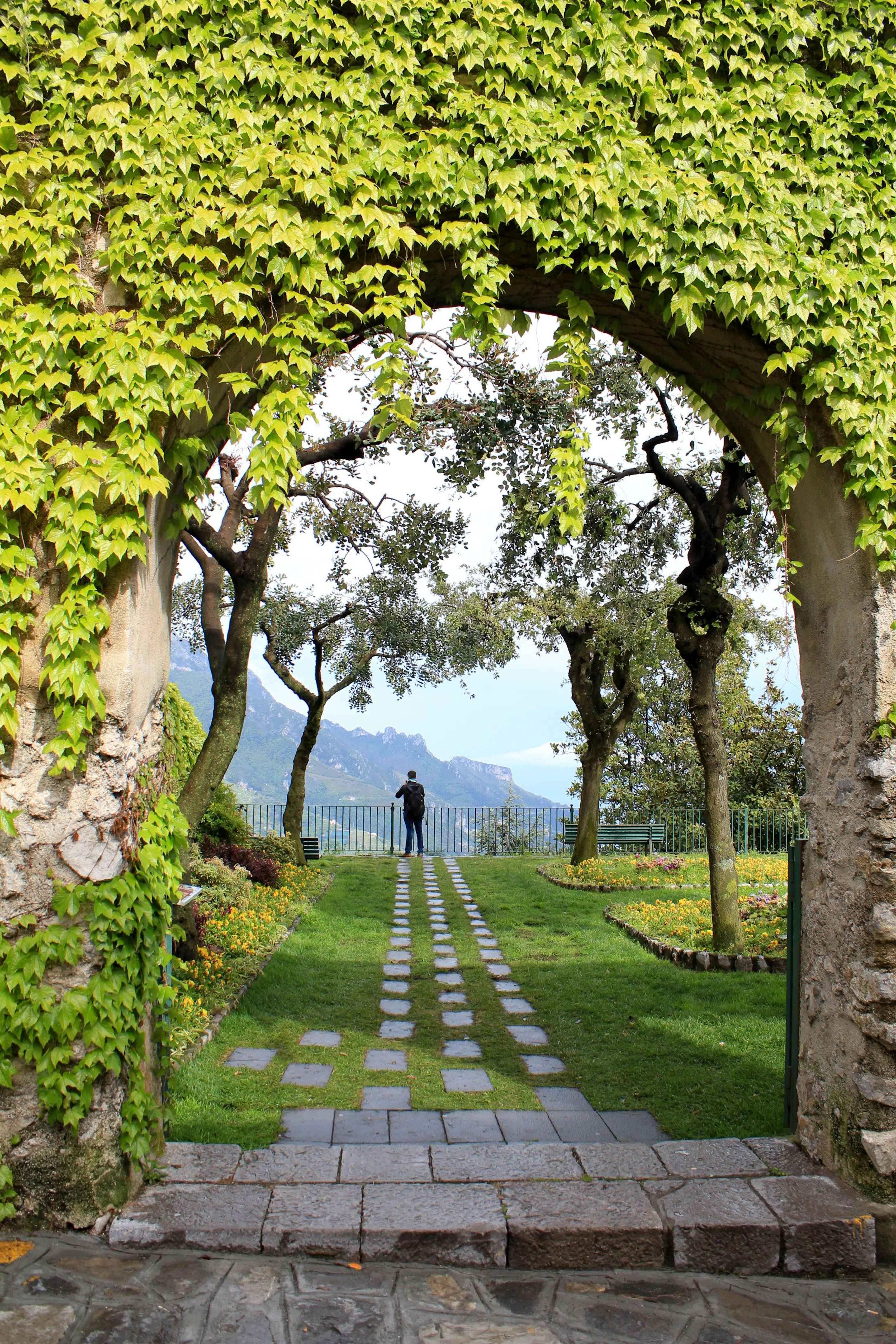 a man standing in the middle of a garden