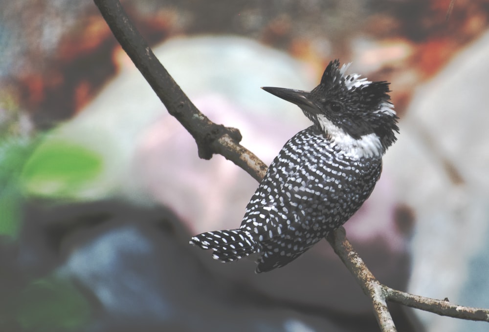 a small bird perched on a tree branch