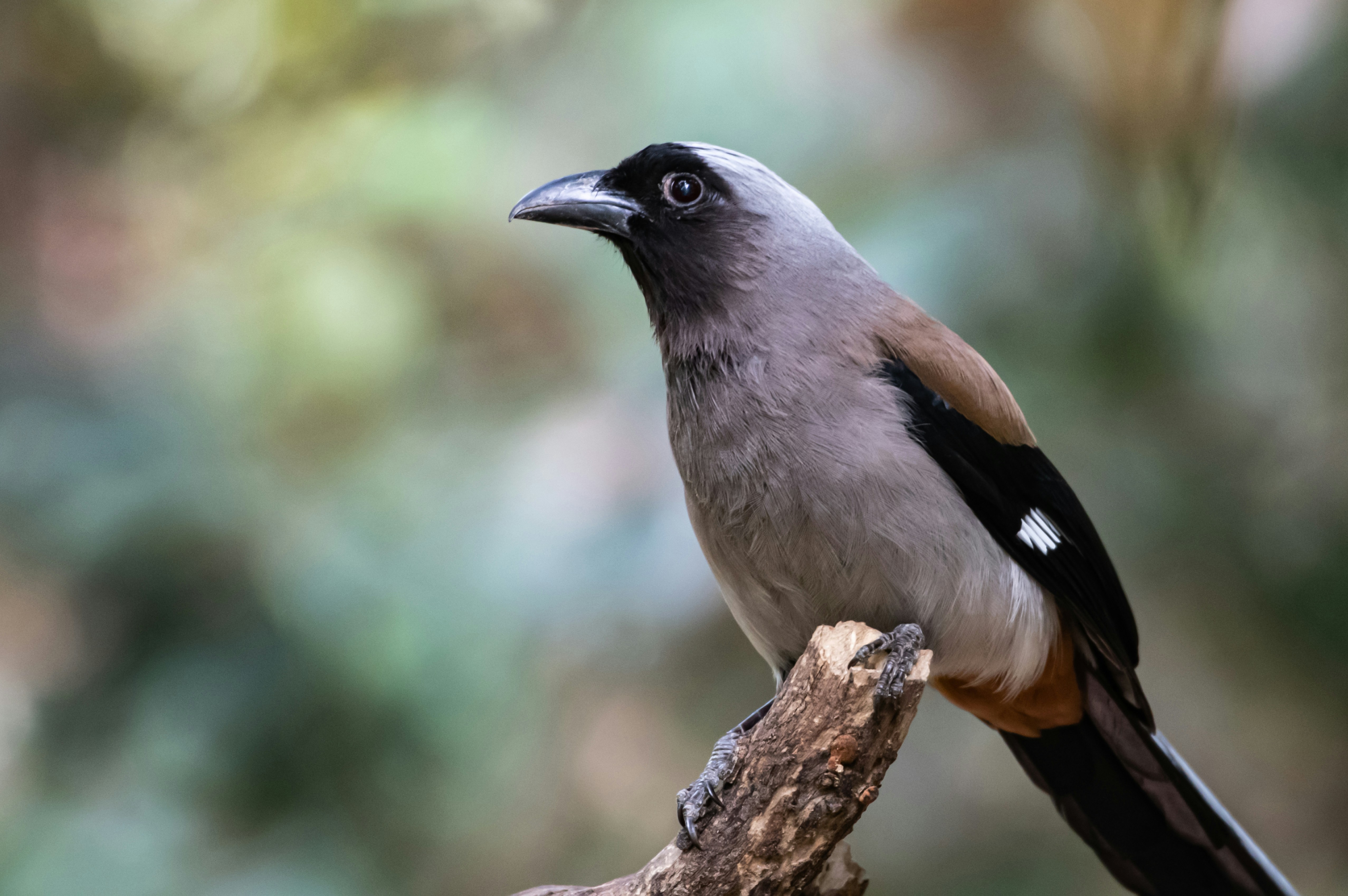 Photo by mhphotography13