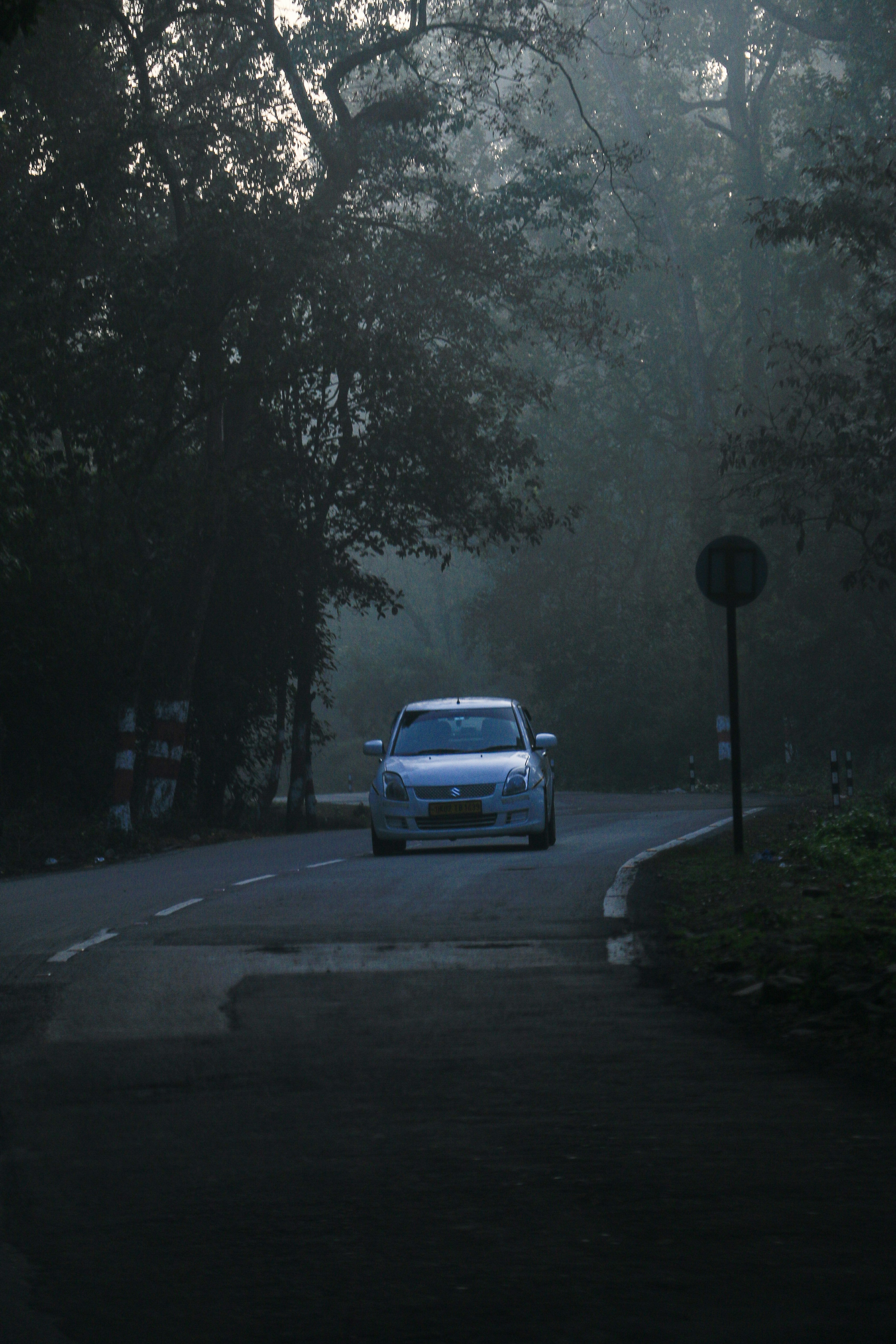 Photo by milinjohn