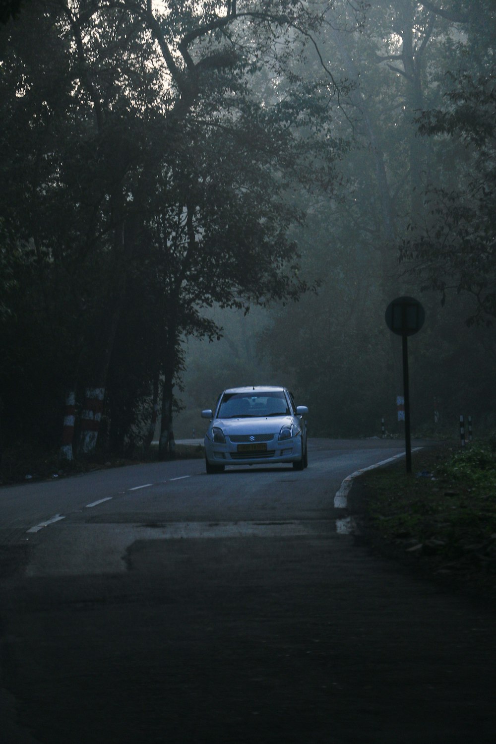 a white car driving down a road next to a forest