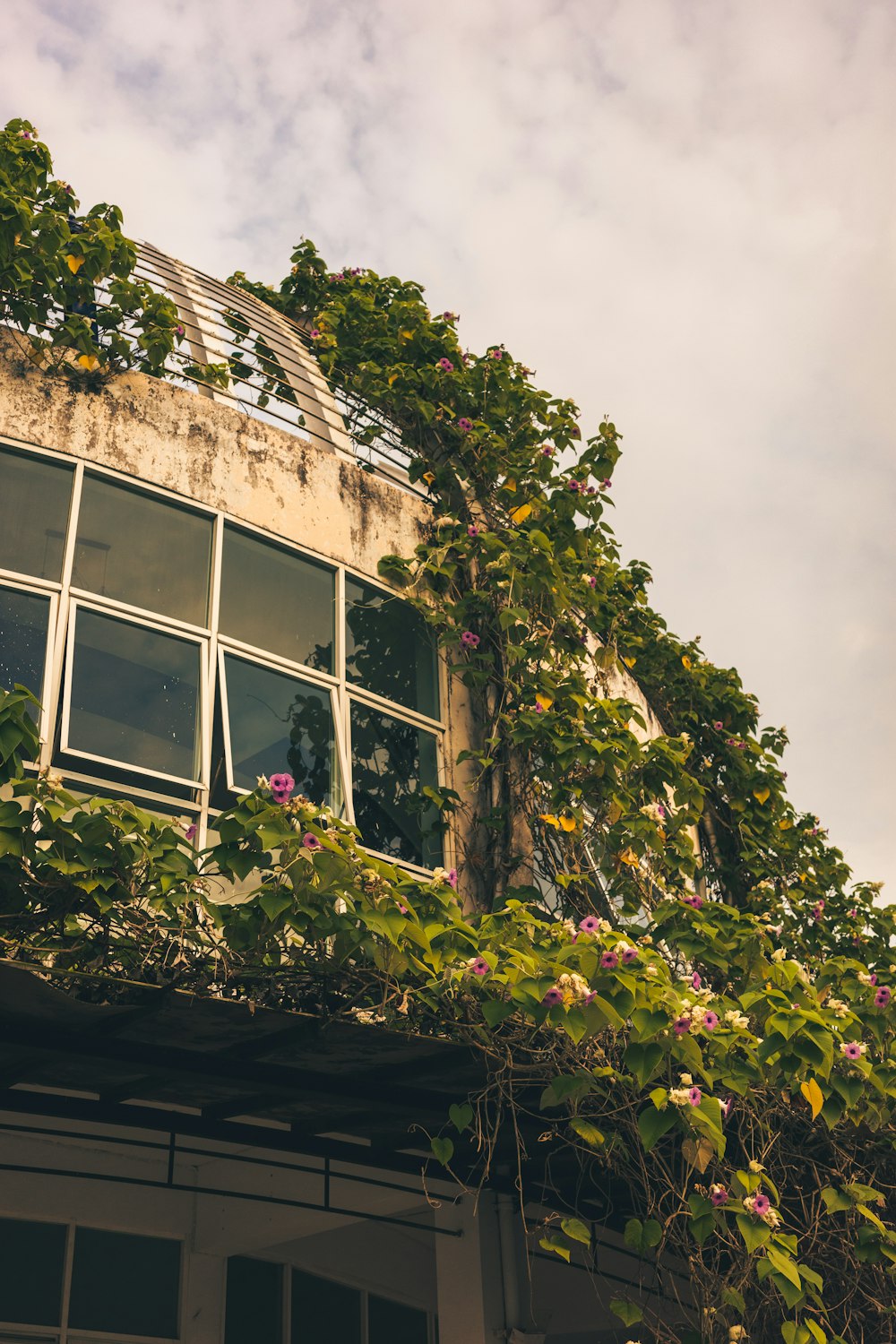 a building covered in vines and flowers under a cloudy sky