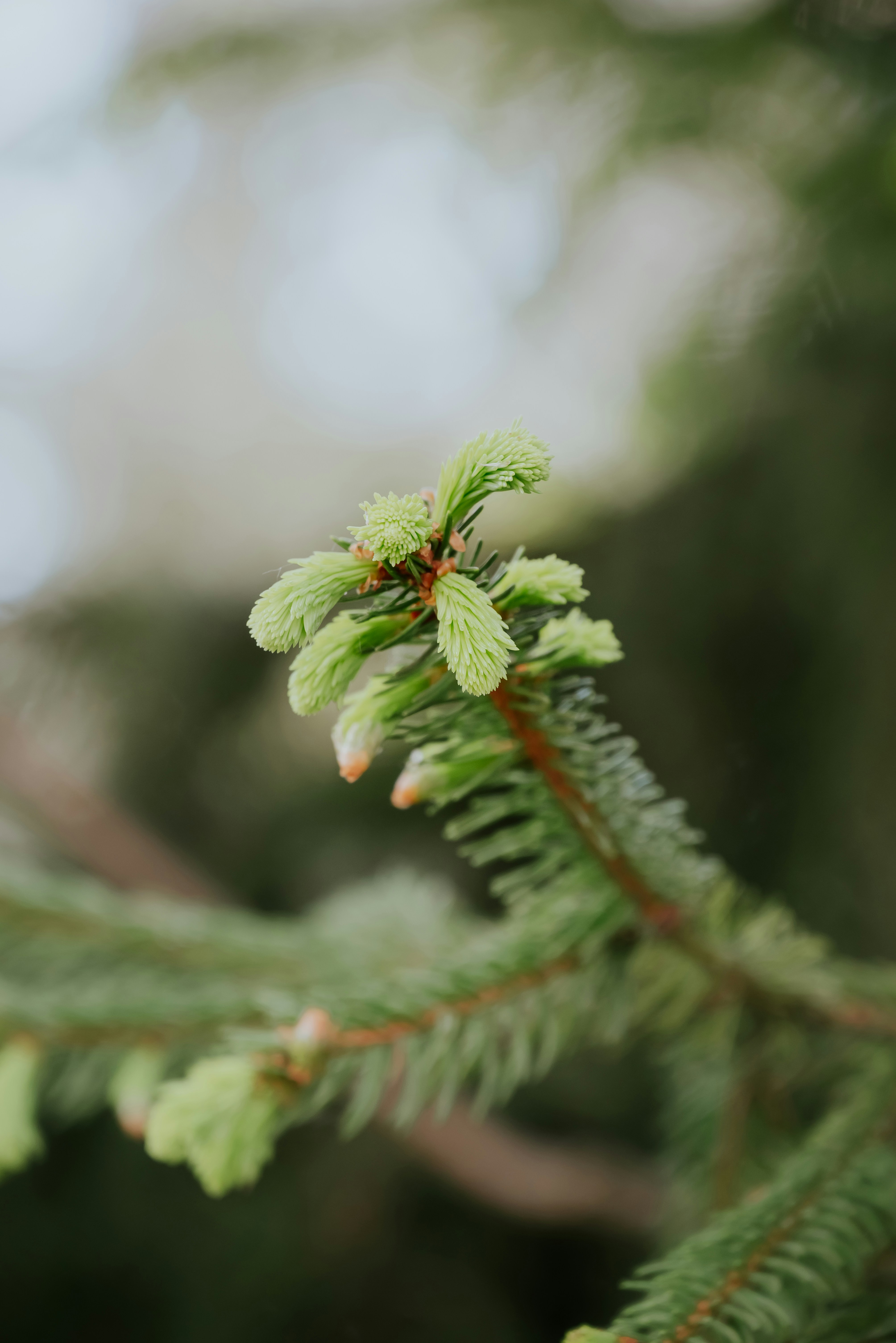 Photo by agataciosek