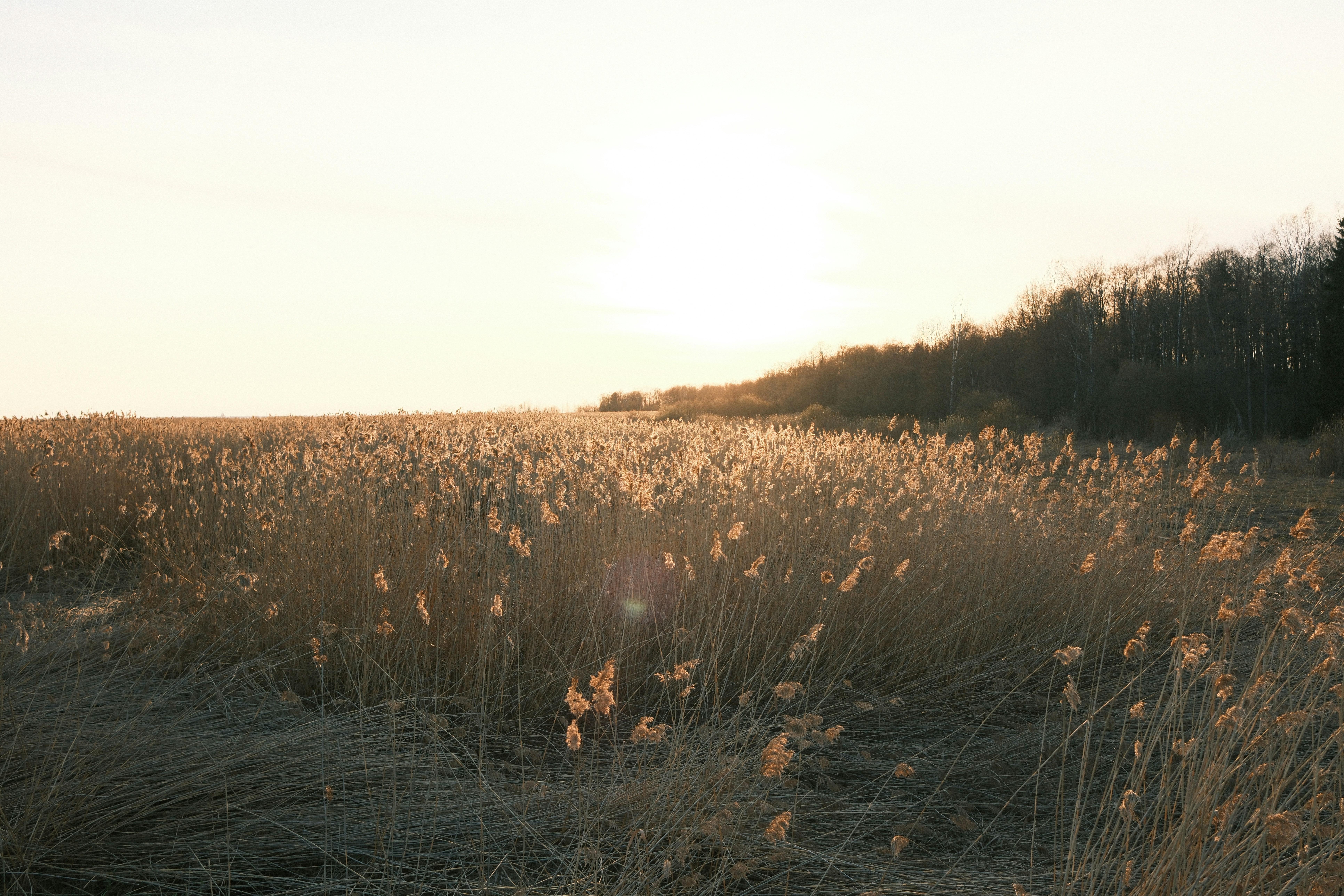Photo by muravev