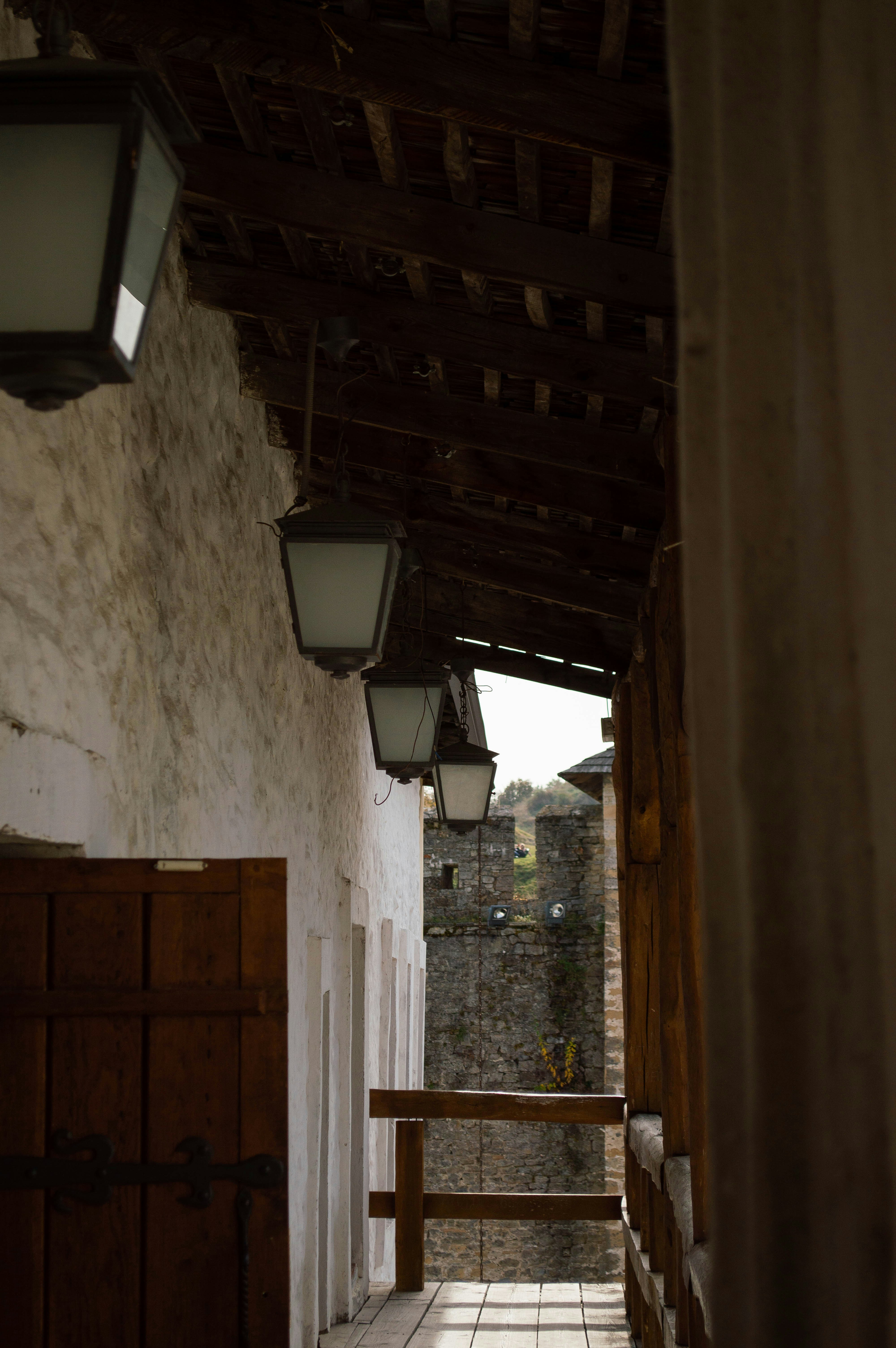 Photo by dmytrodovgan