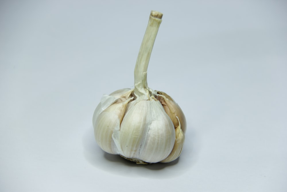 a close up of a garlic on a white background