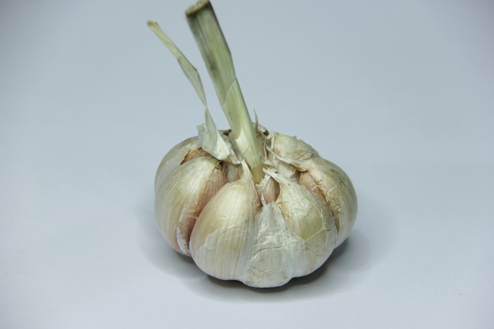 a close up of a garlic bulb on a white background