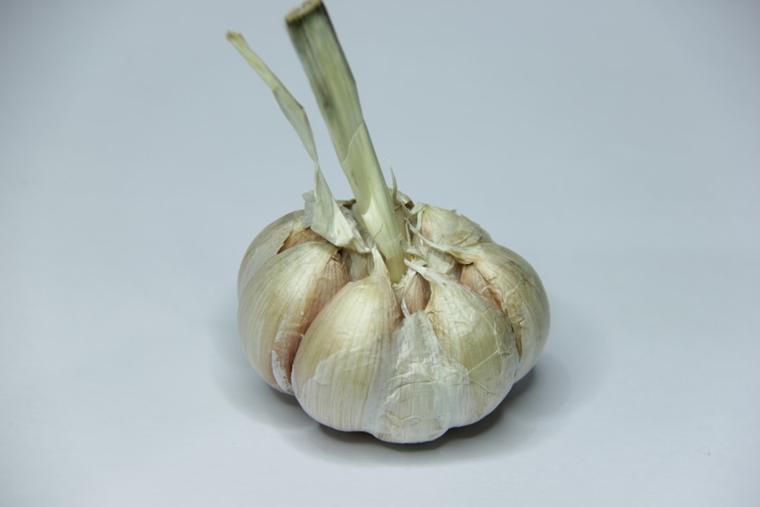 a garlic that is often used as a medicine and immune booster