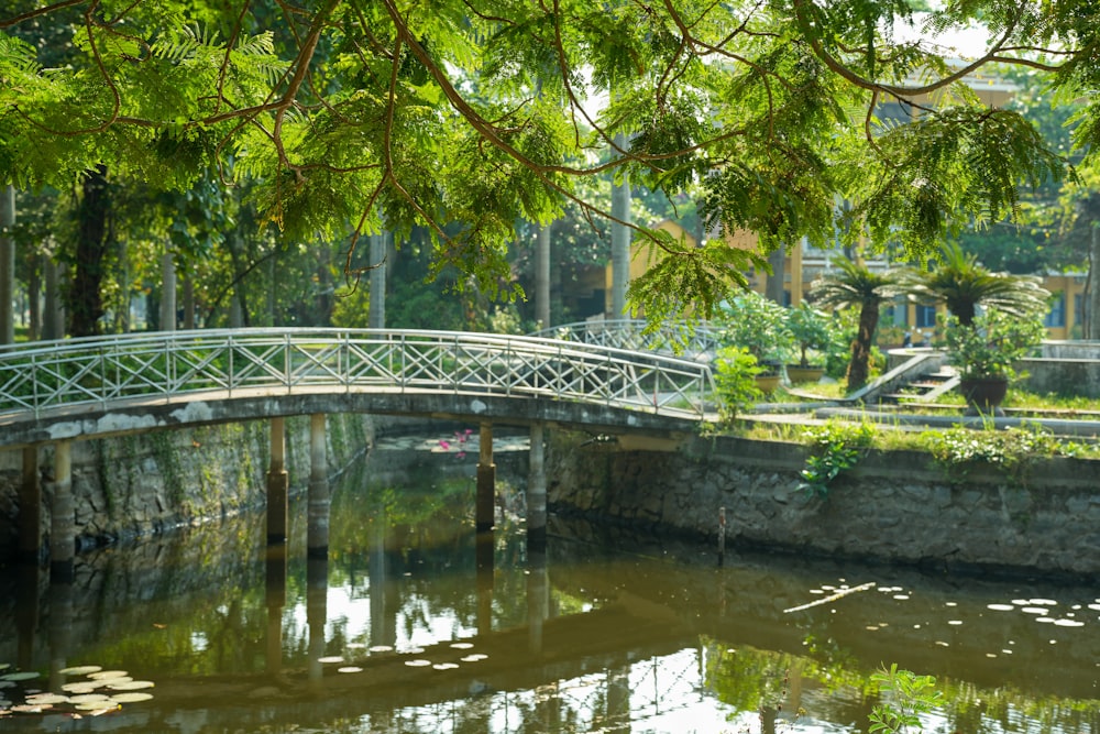 a bridge over a small pond in a park