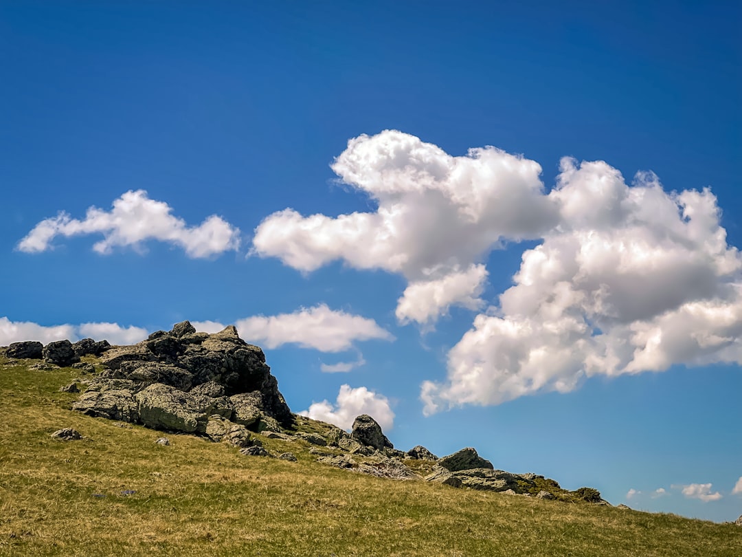 a lone sheep standing on top of a grass covered hill,