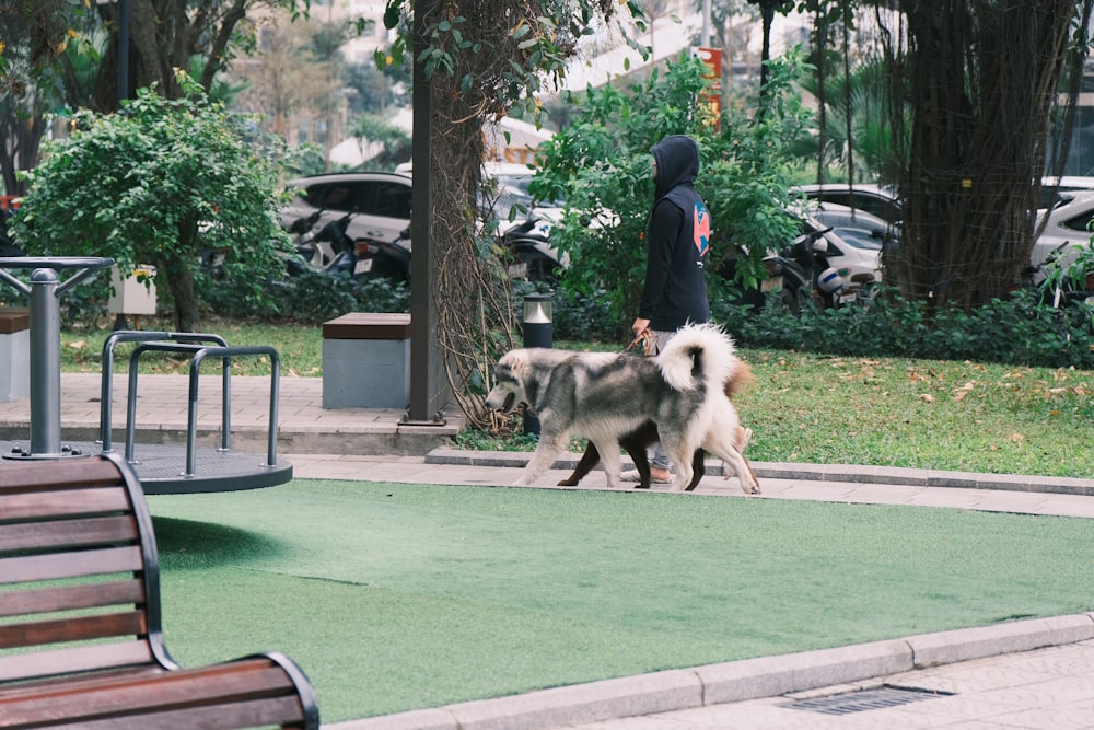 a person walking a dog in a park