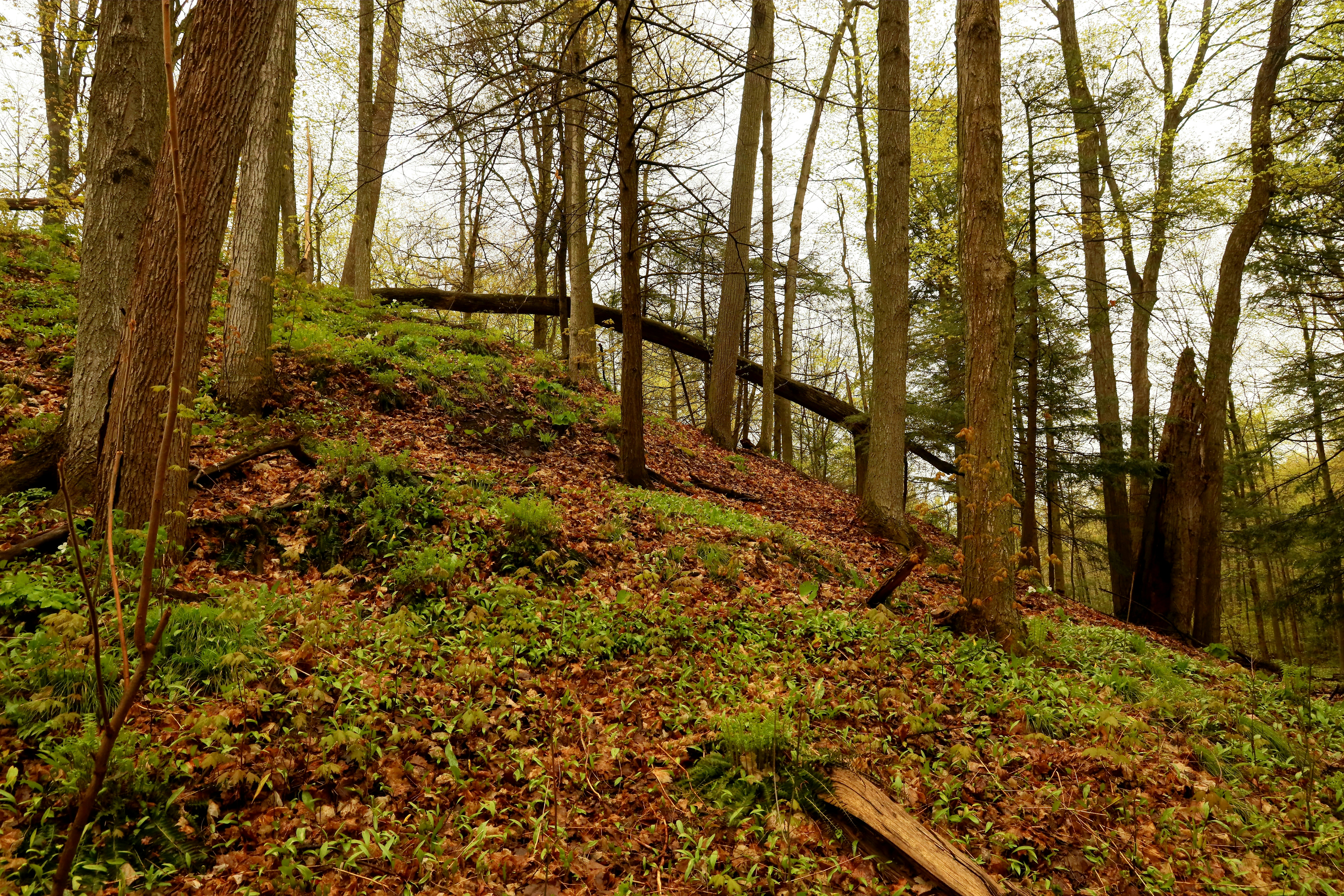 Photo by richardworks