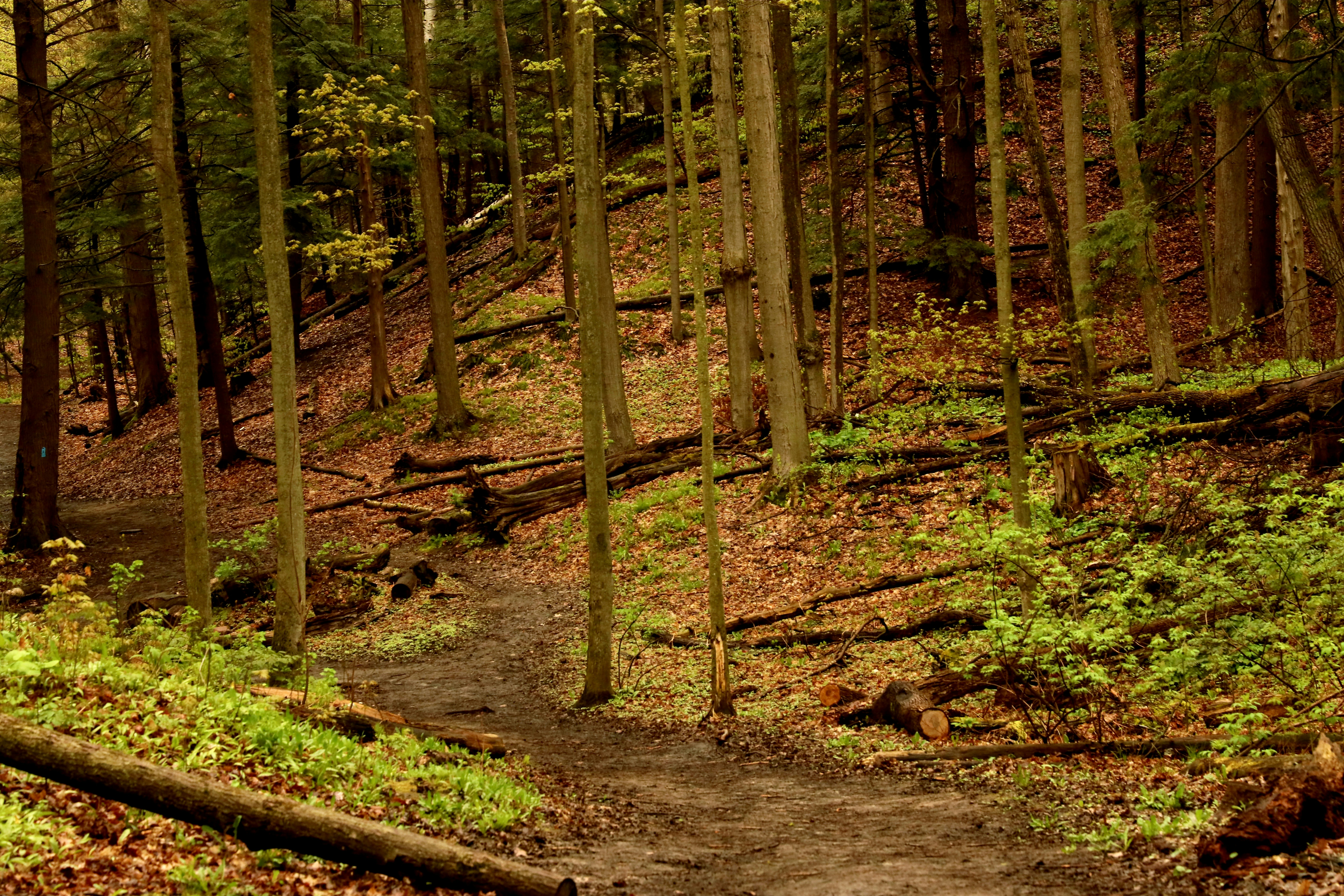 Photo by richardworks