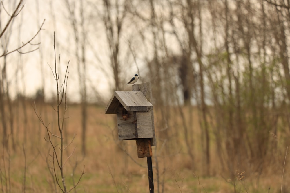 a bird is sitting on top of a bird house