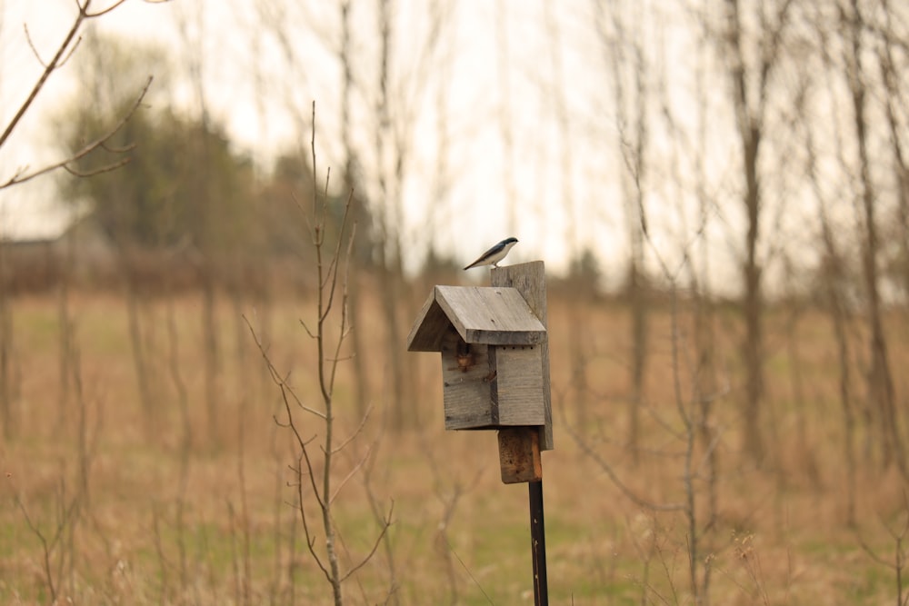 a bird is sitting on top of a bird house