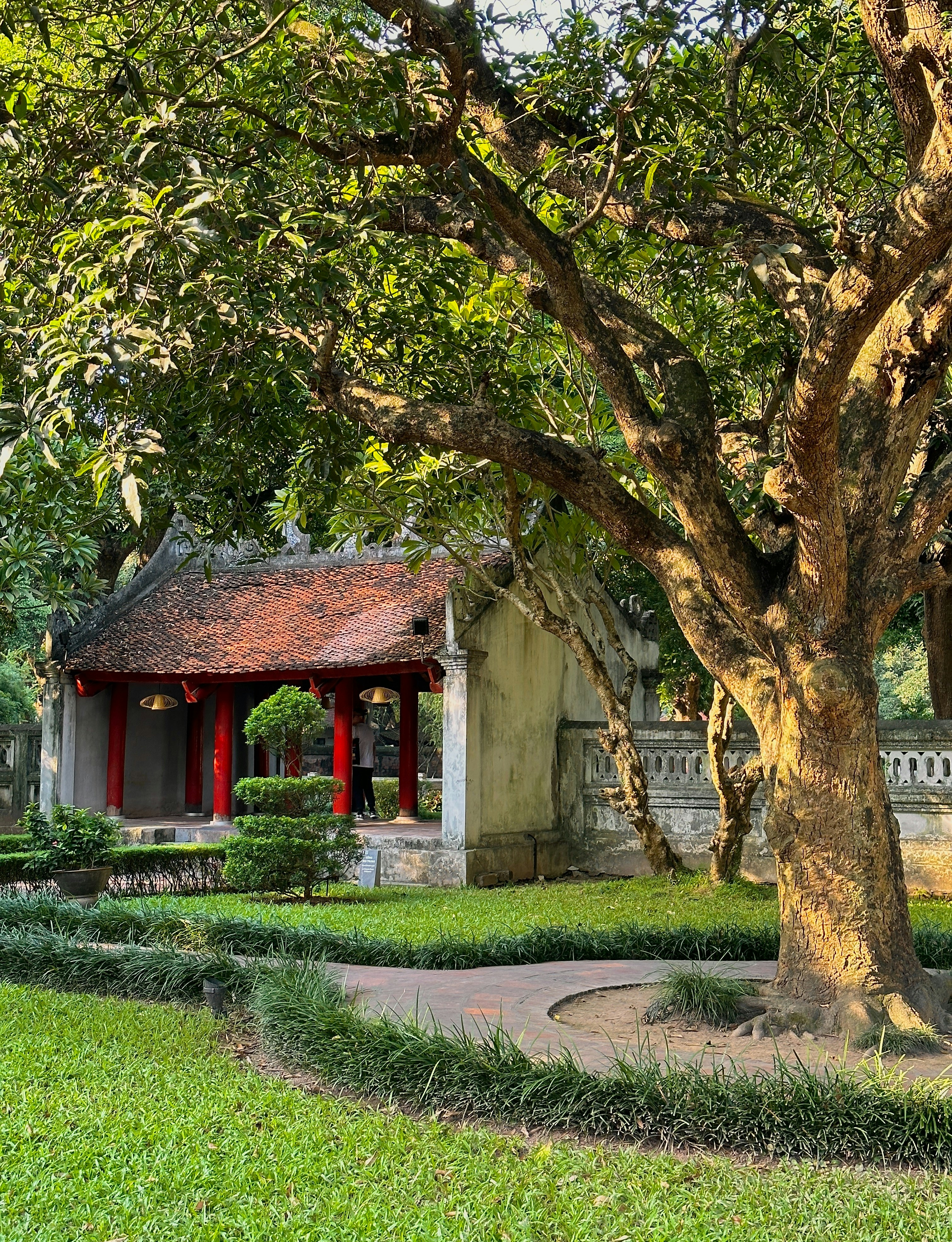 The Big Five: Essential Cave Experiences Beyond Son Doong