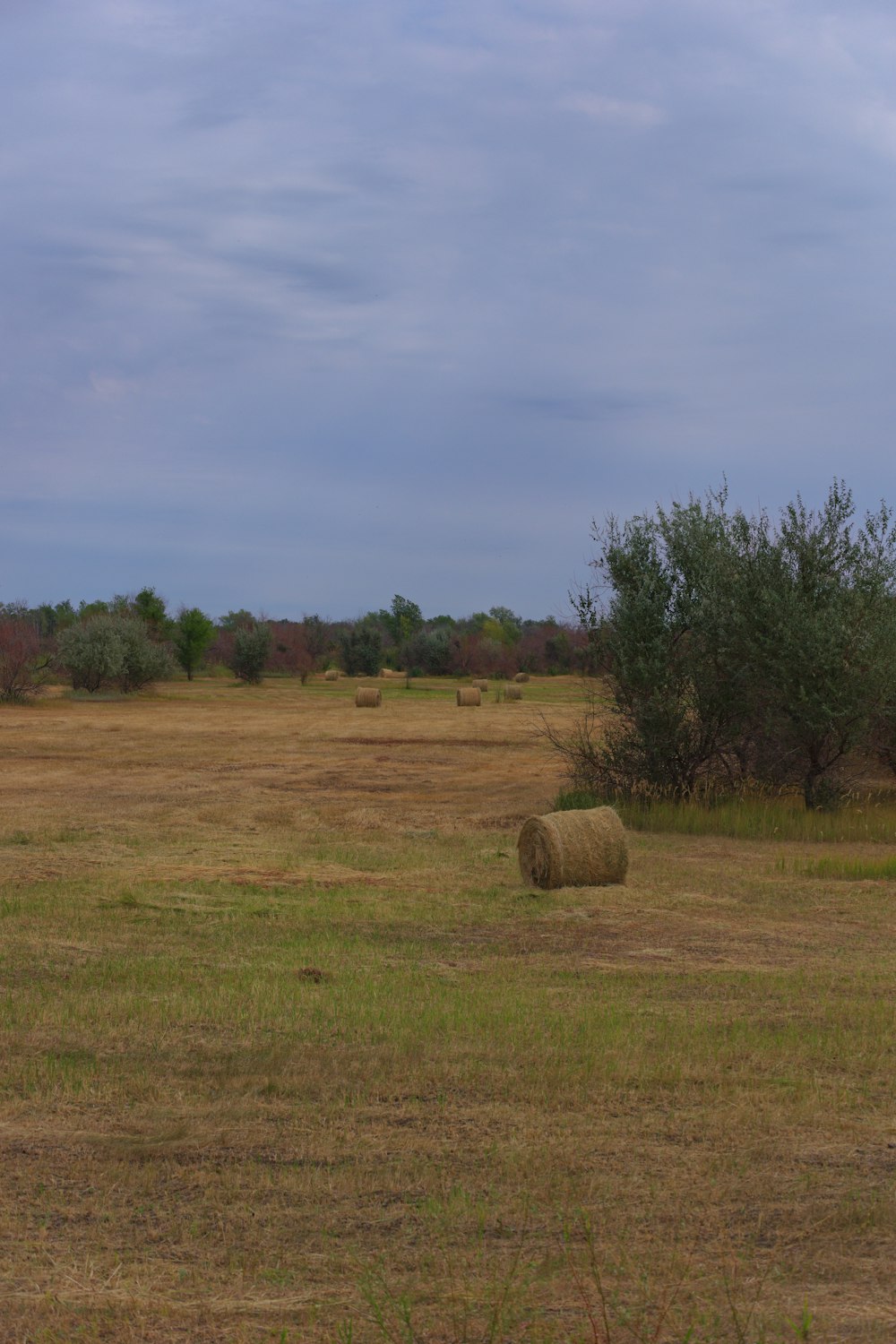 a field with hay bales in the middle of it