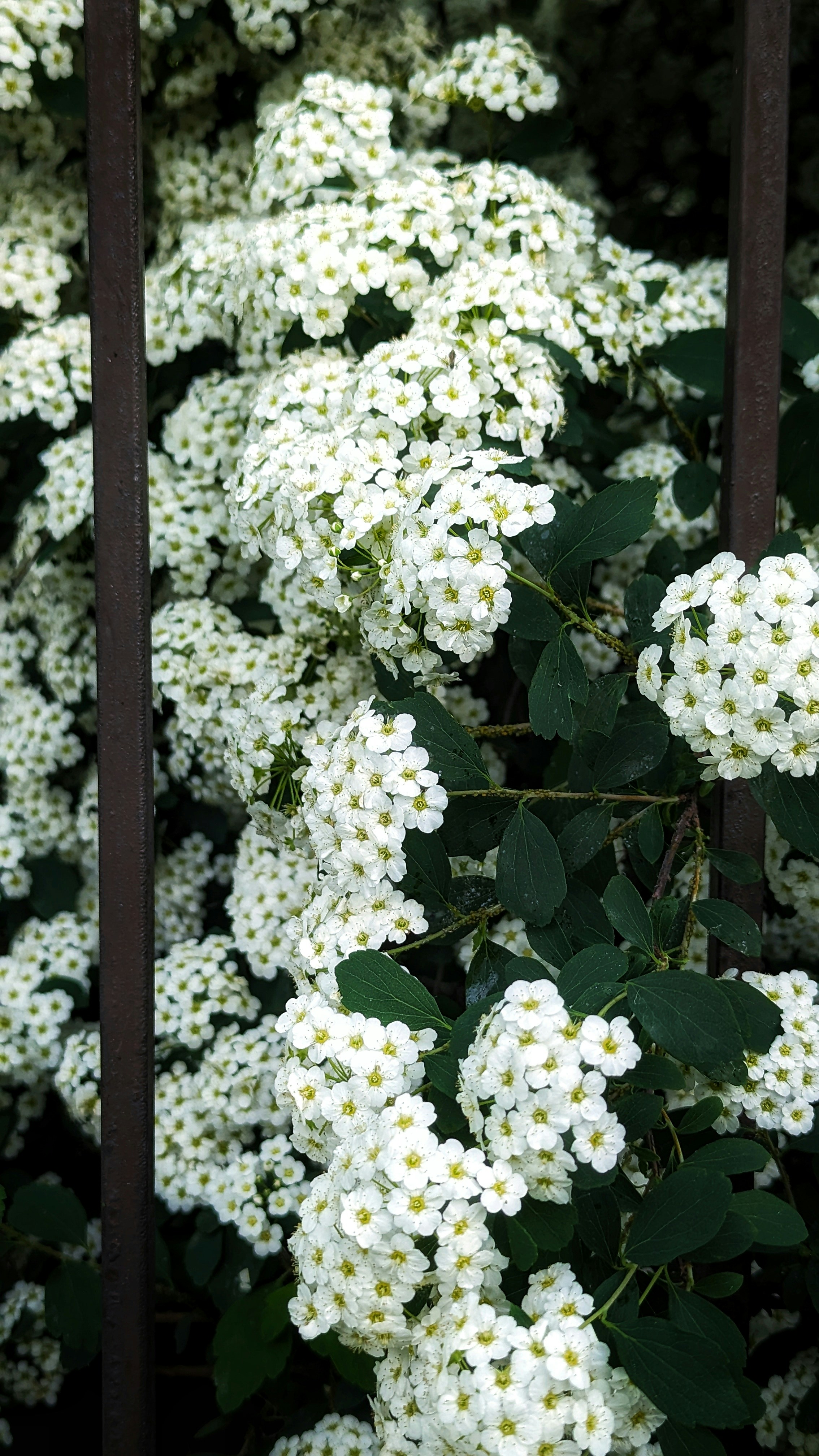 Photo by dsamatkulov