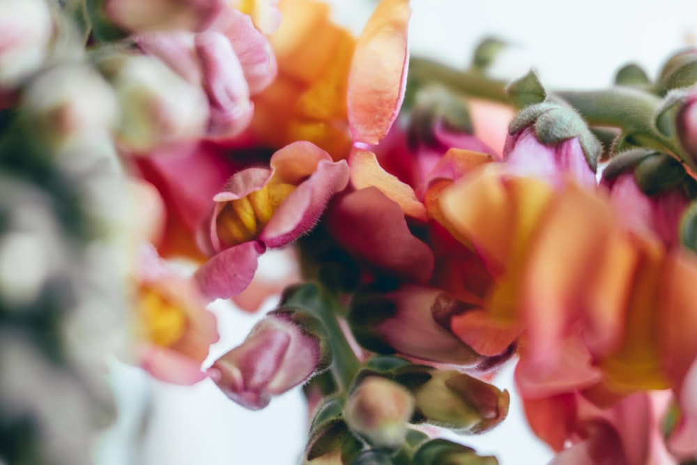 ein Blumenstrauß, der sich in einer Vase befindet