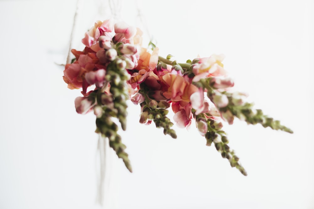 a bunch of flowers hanging from a string
