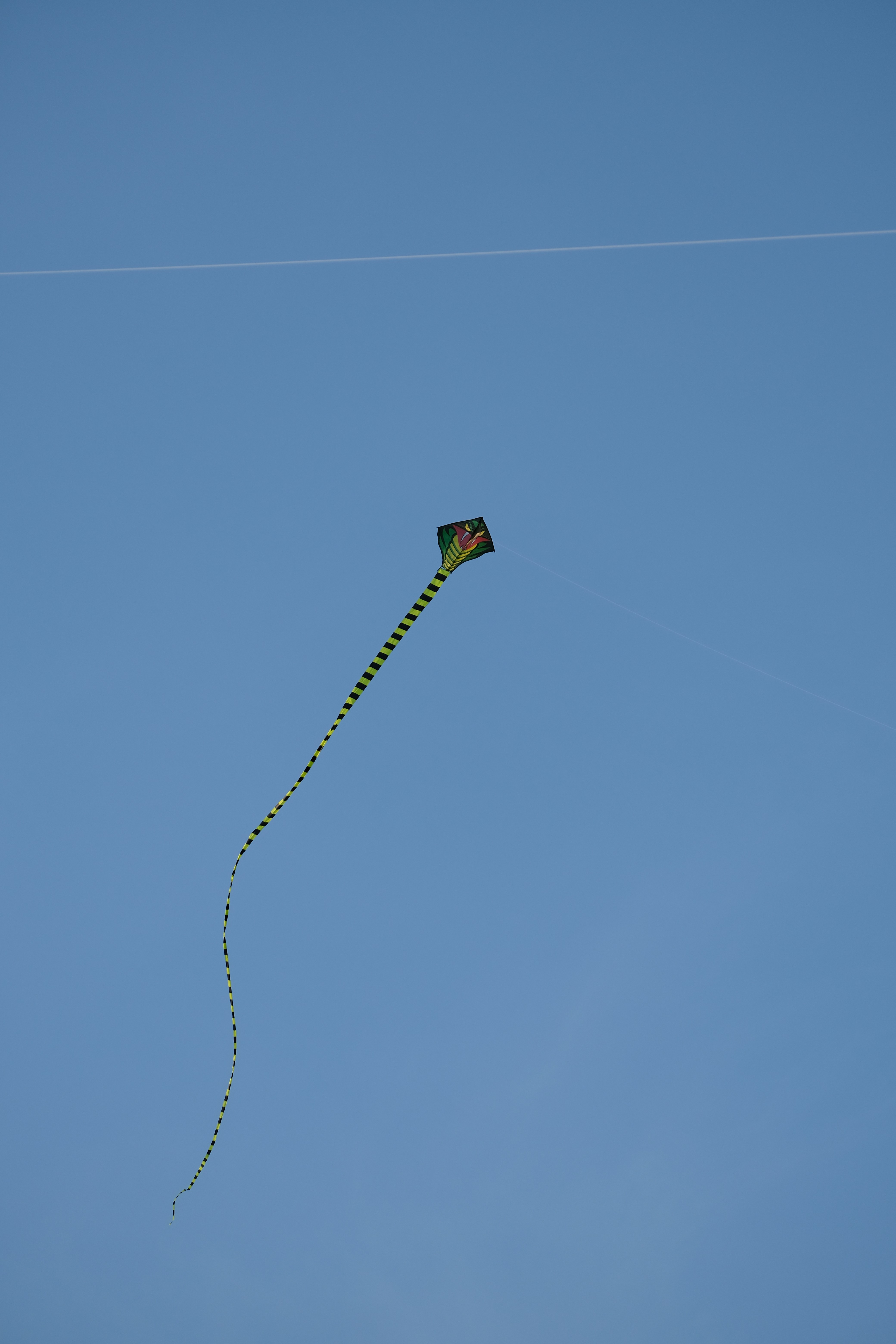 Why I Switched to Zephyr (After 5 Years of Reinventing Wheels)