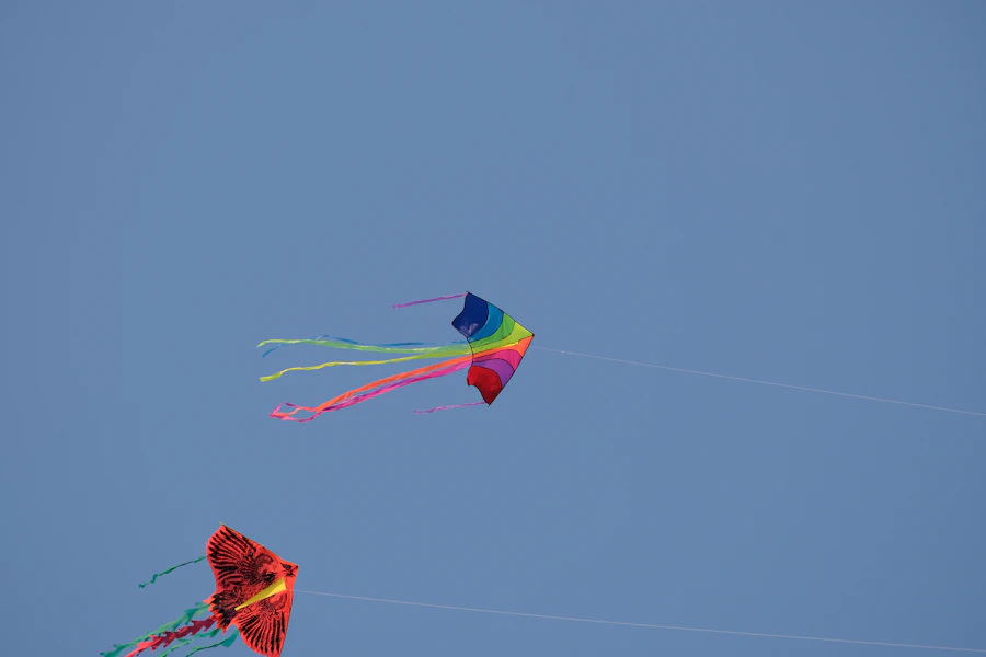 A massive janggan kite in flight at the Bali Kite Festival