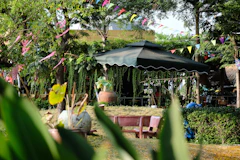 a patio with a large black umbrella and lots of plants
