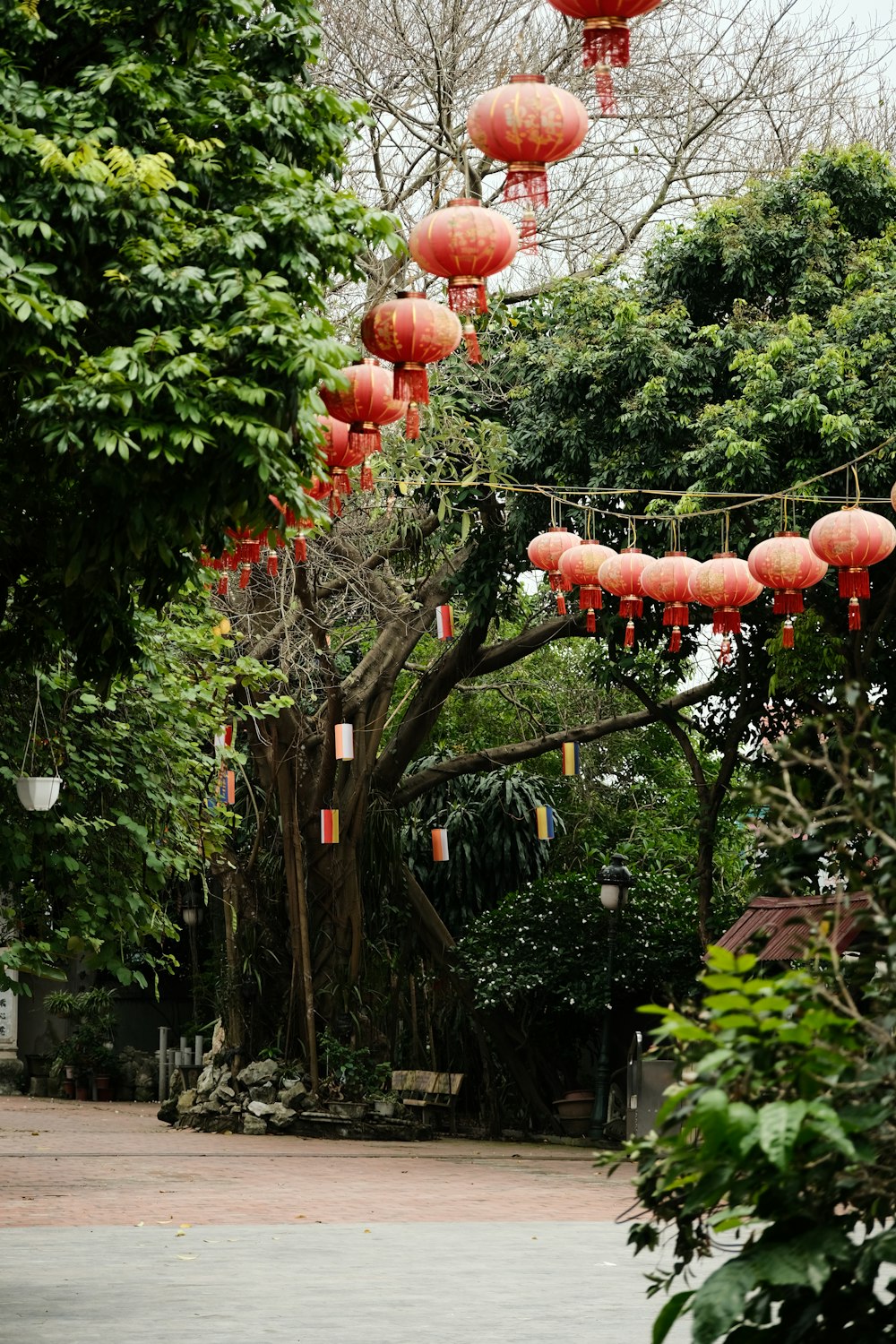 red lanterns hanging from trees in a park