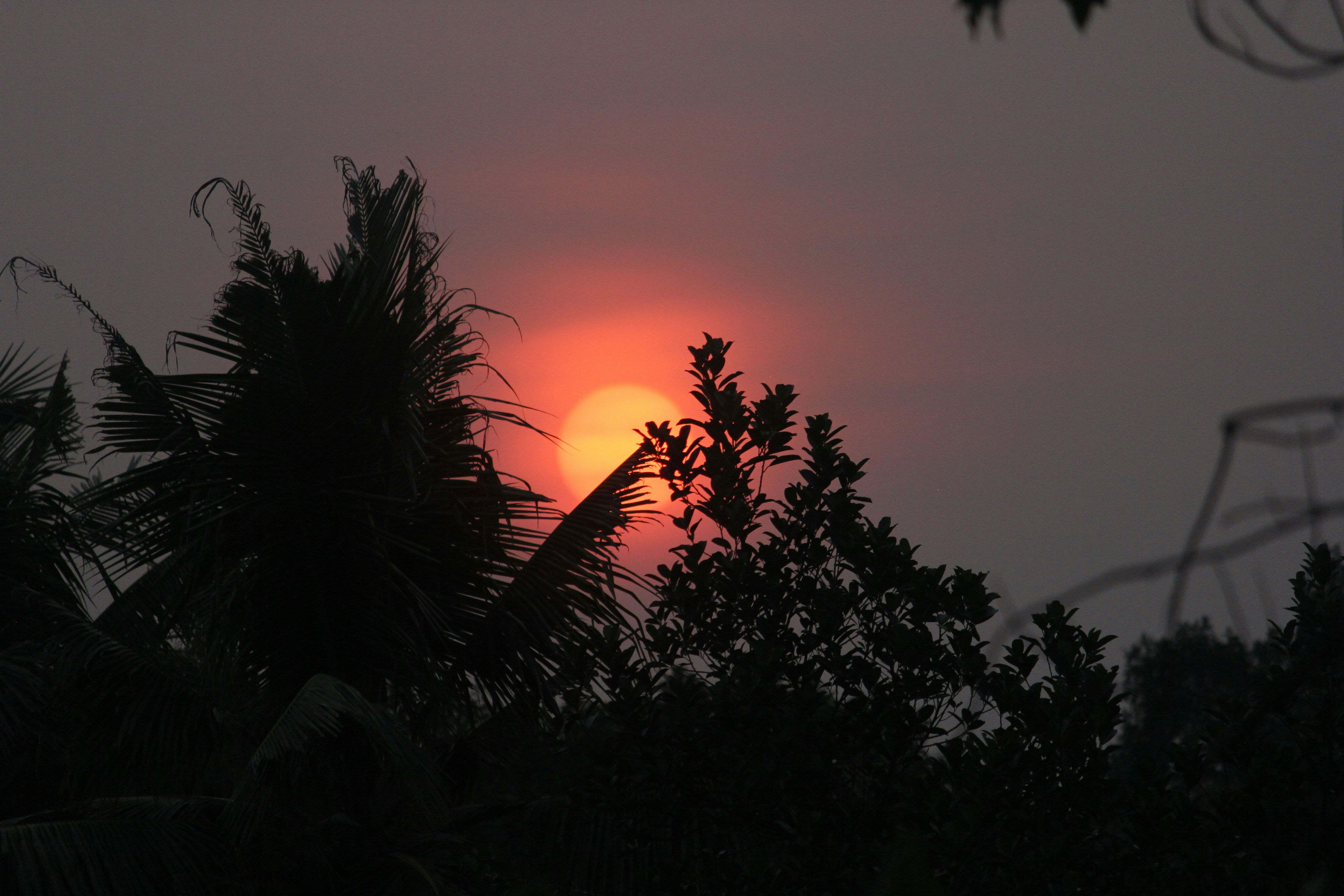 Photo by ajmal_ellickan