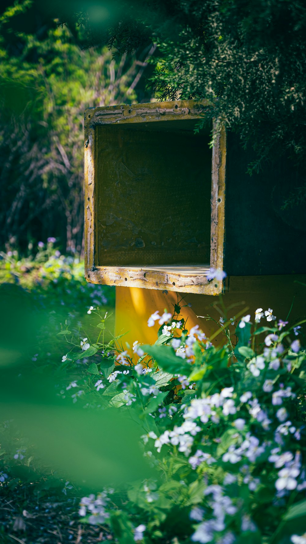 a wooden sign sitting in the middle of a lush green field