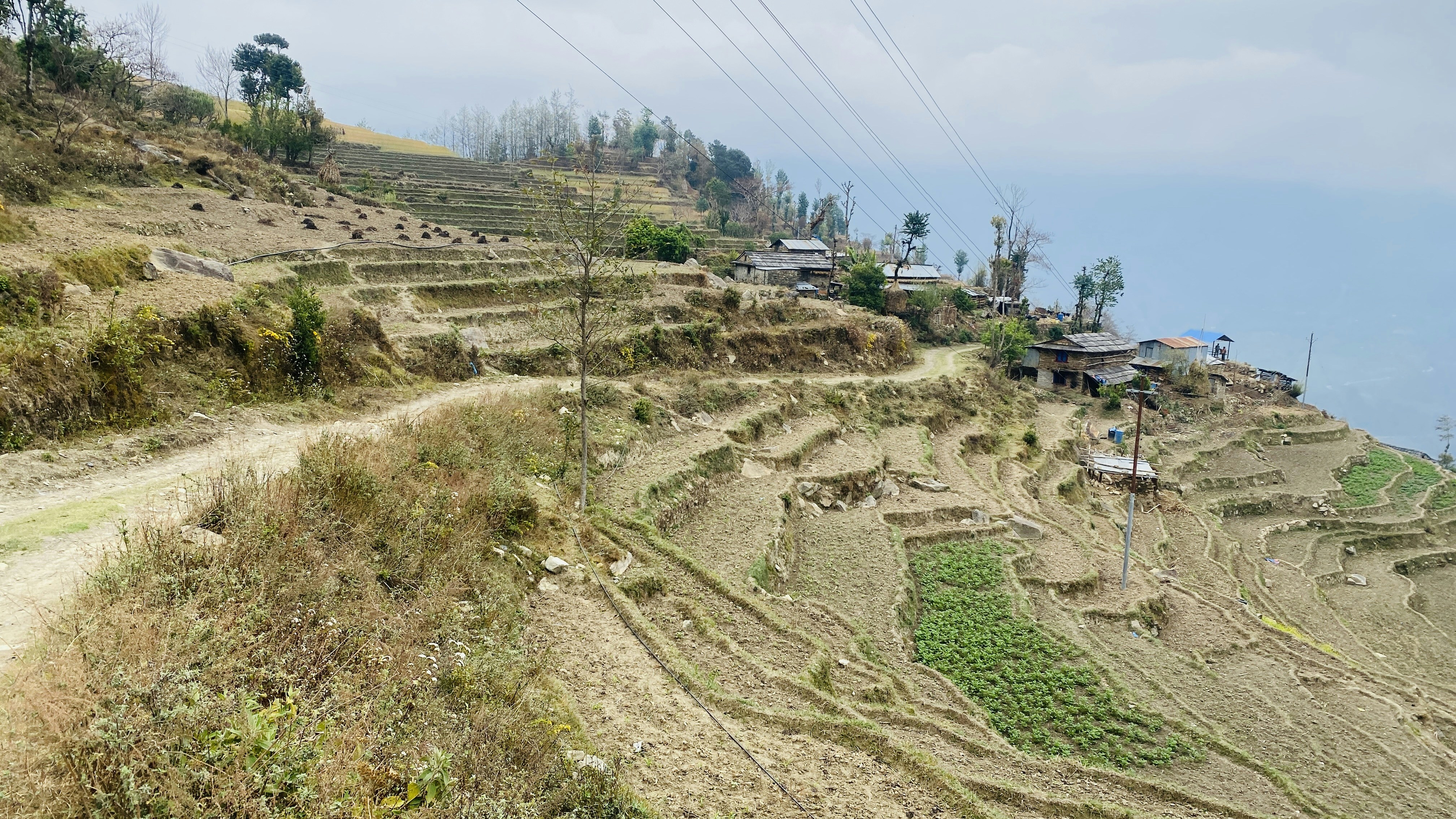 Photo by kgshrestha