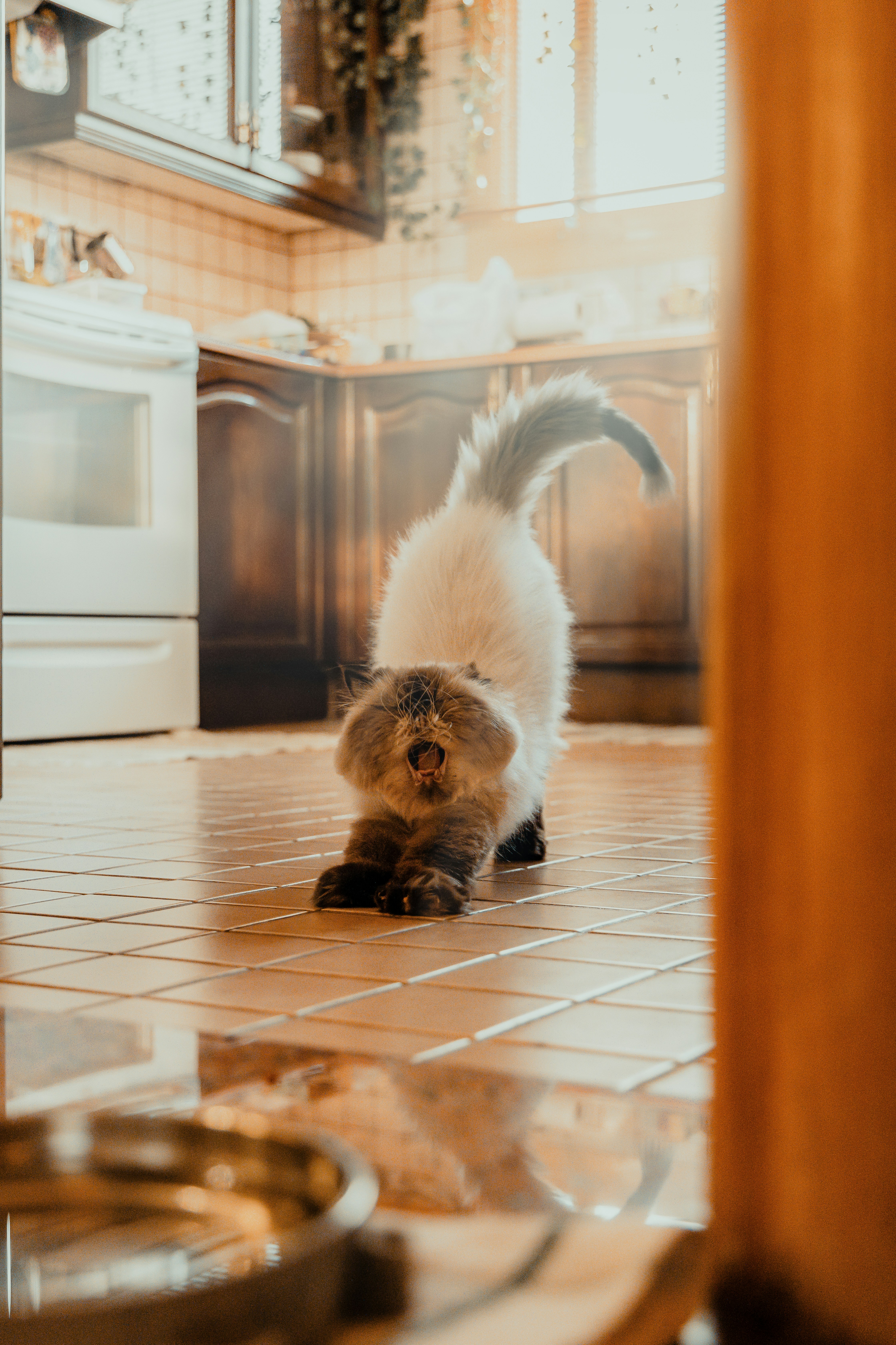 The Kitchen Floor Mystery (image credits: unsplash)