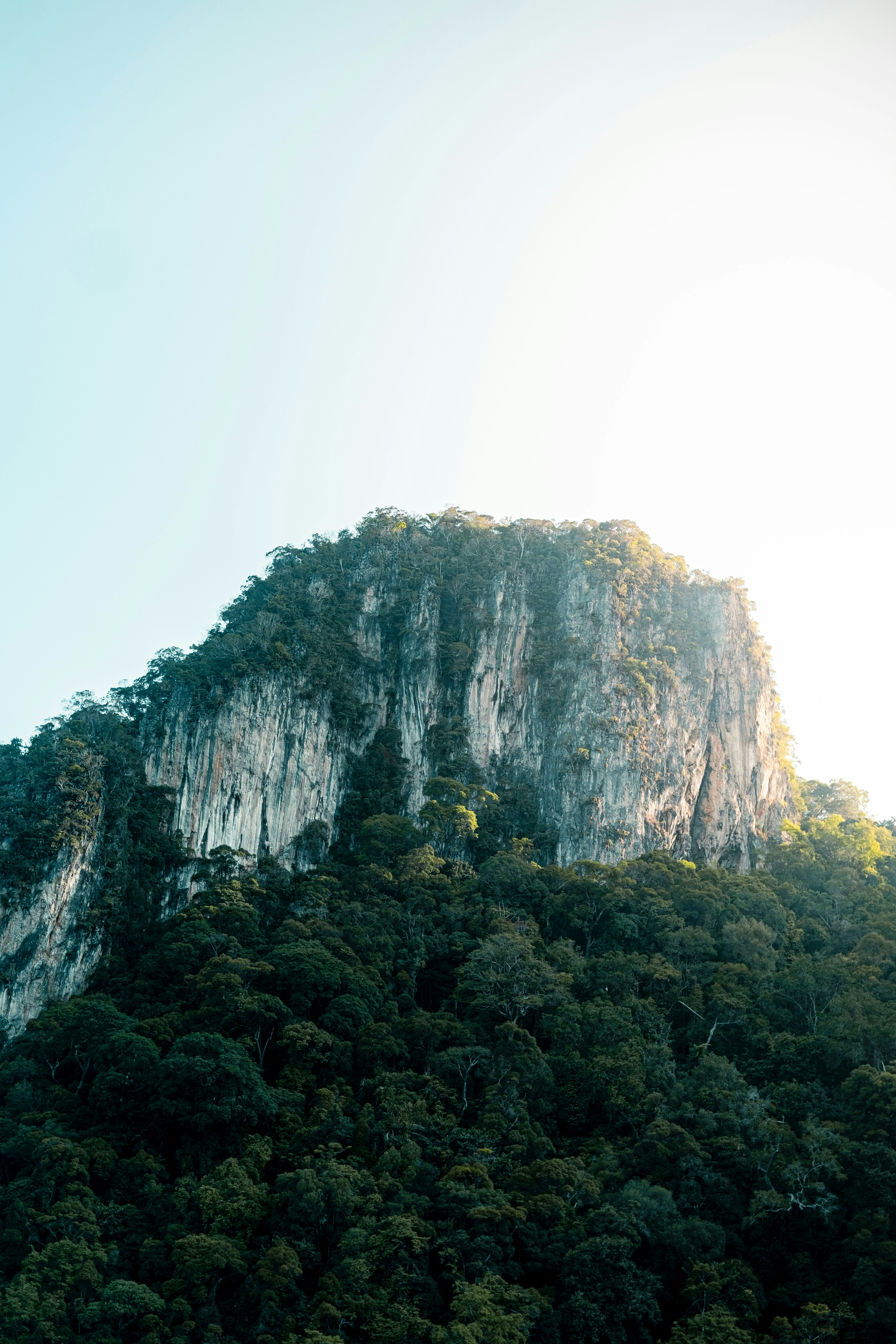 Photo by yokonoito0512