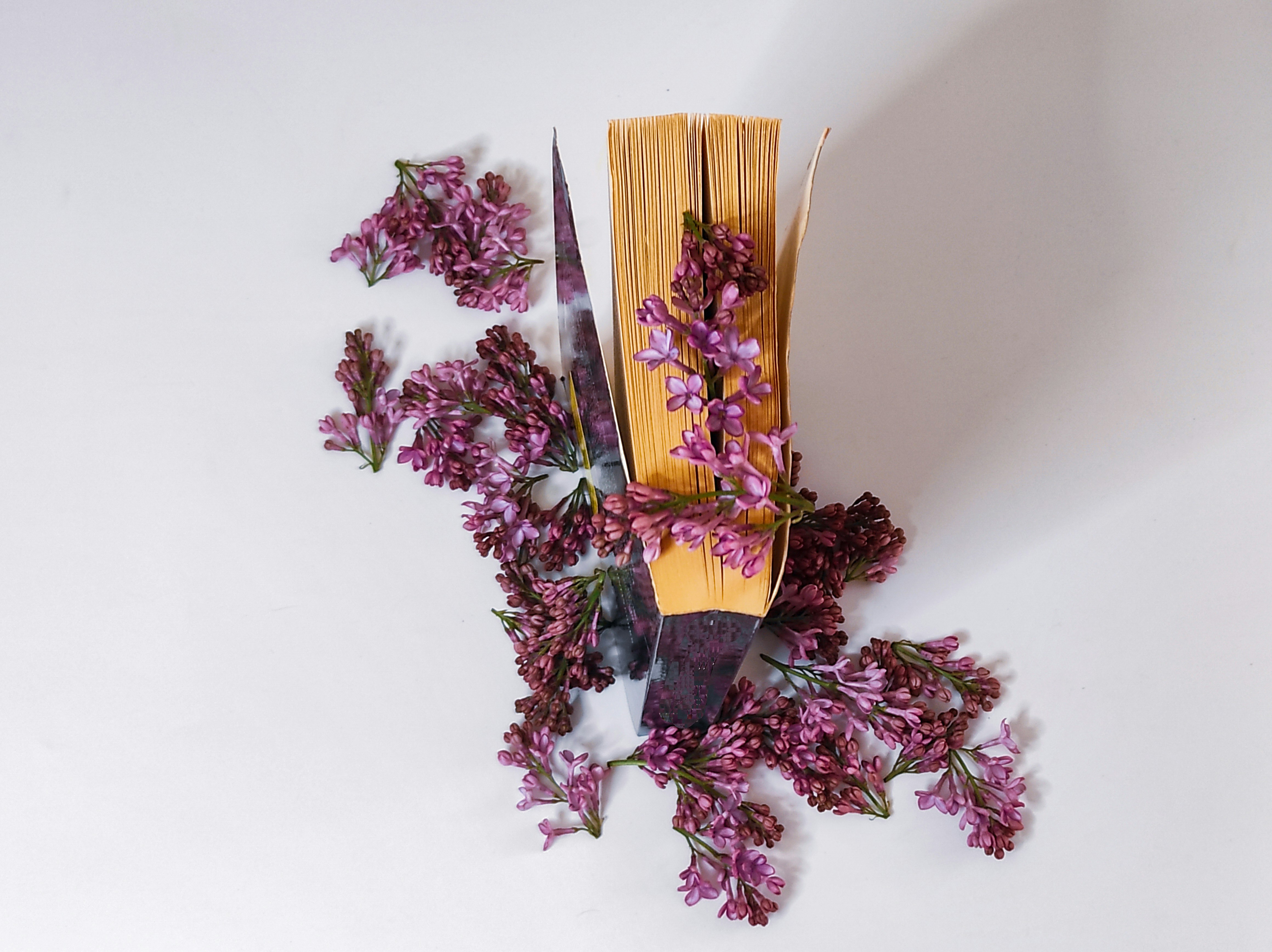 Photo by daniela_e_photography