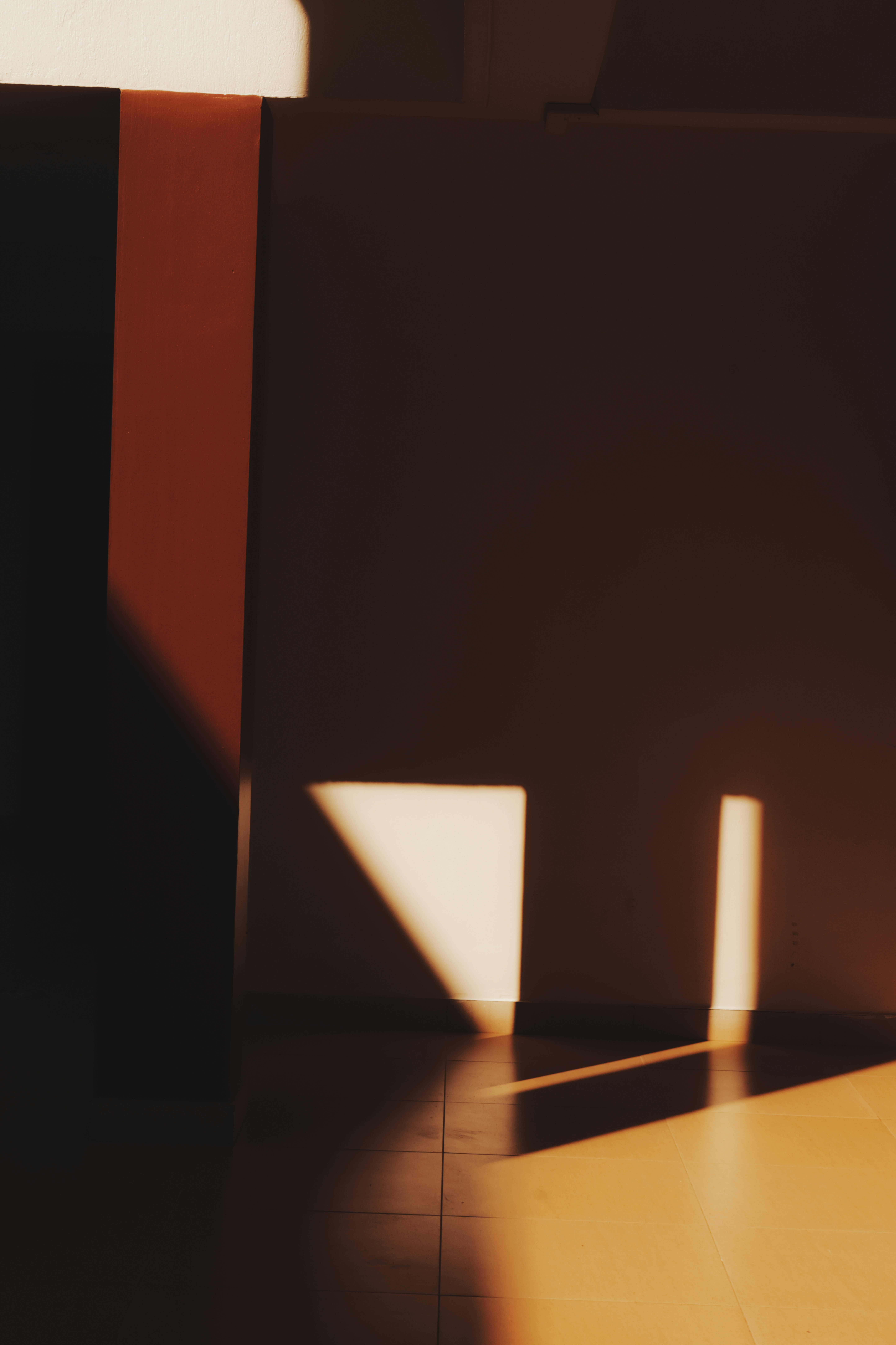 Photo by stevecameup