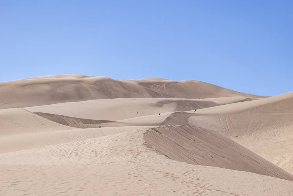 a group of people walking across a sandy field