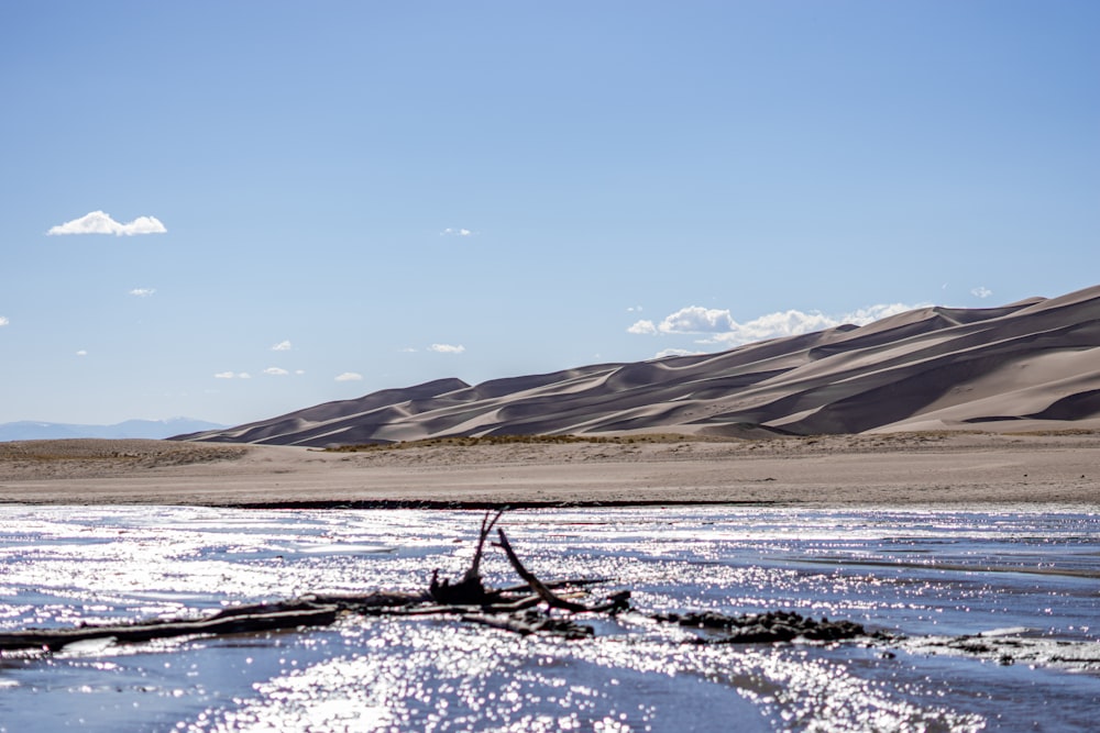 a body of water surrounded by sand dunes