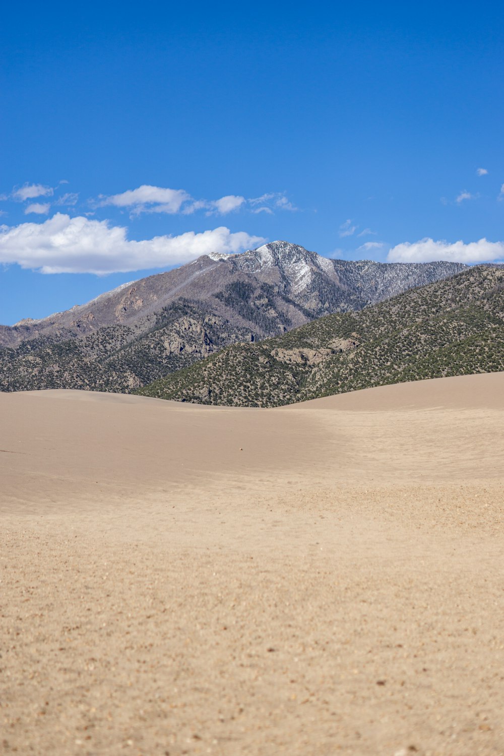 a person riding a horse in the desert