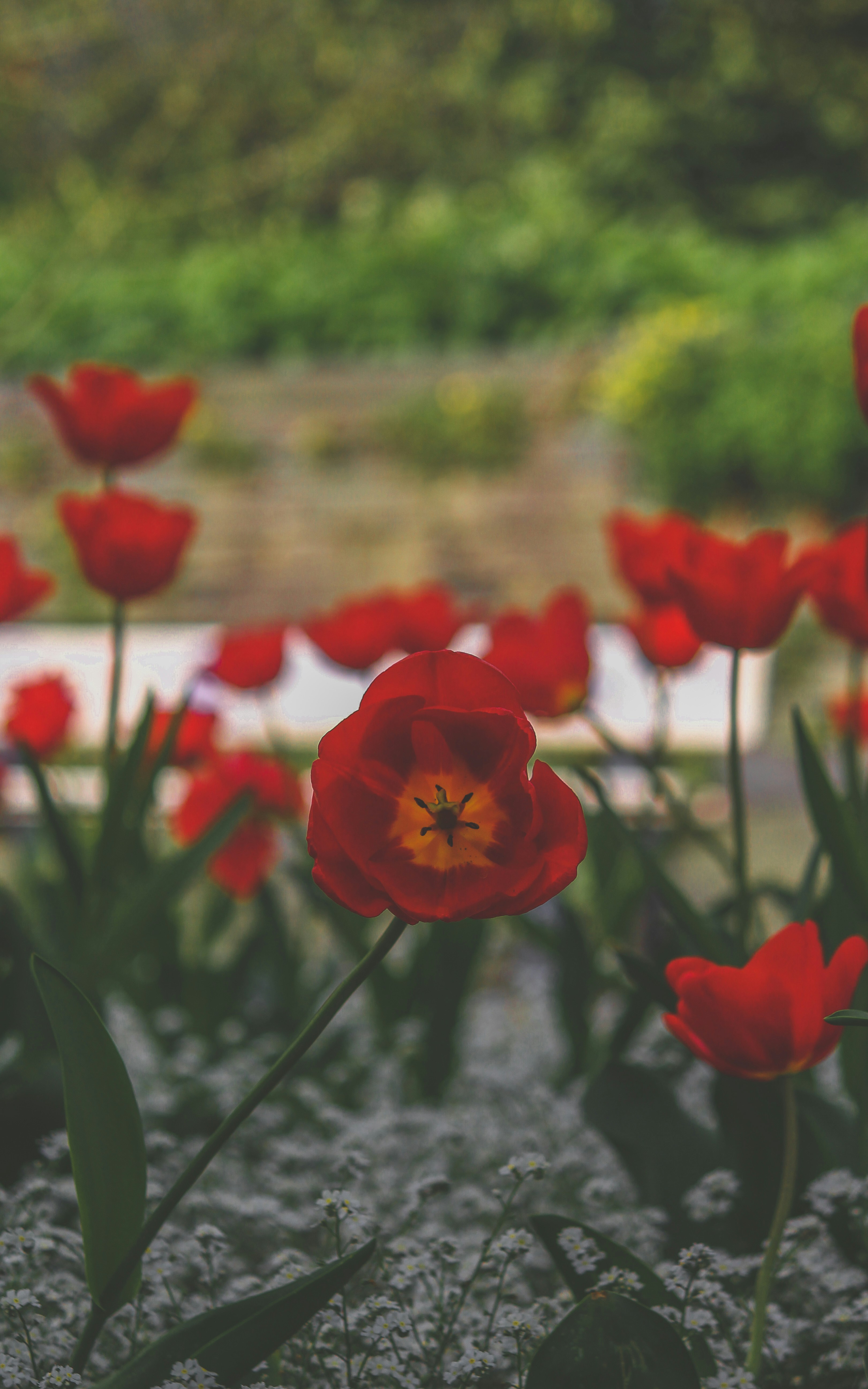 Photo by idk_sumanth