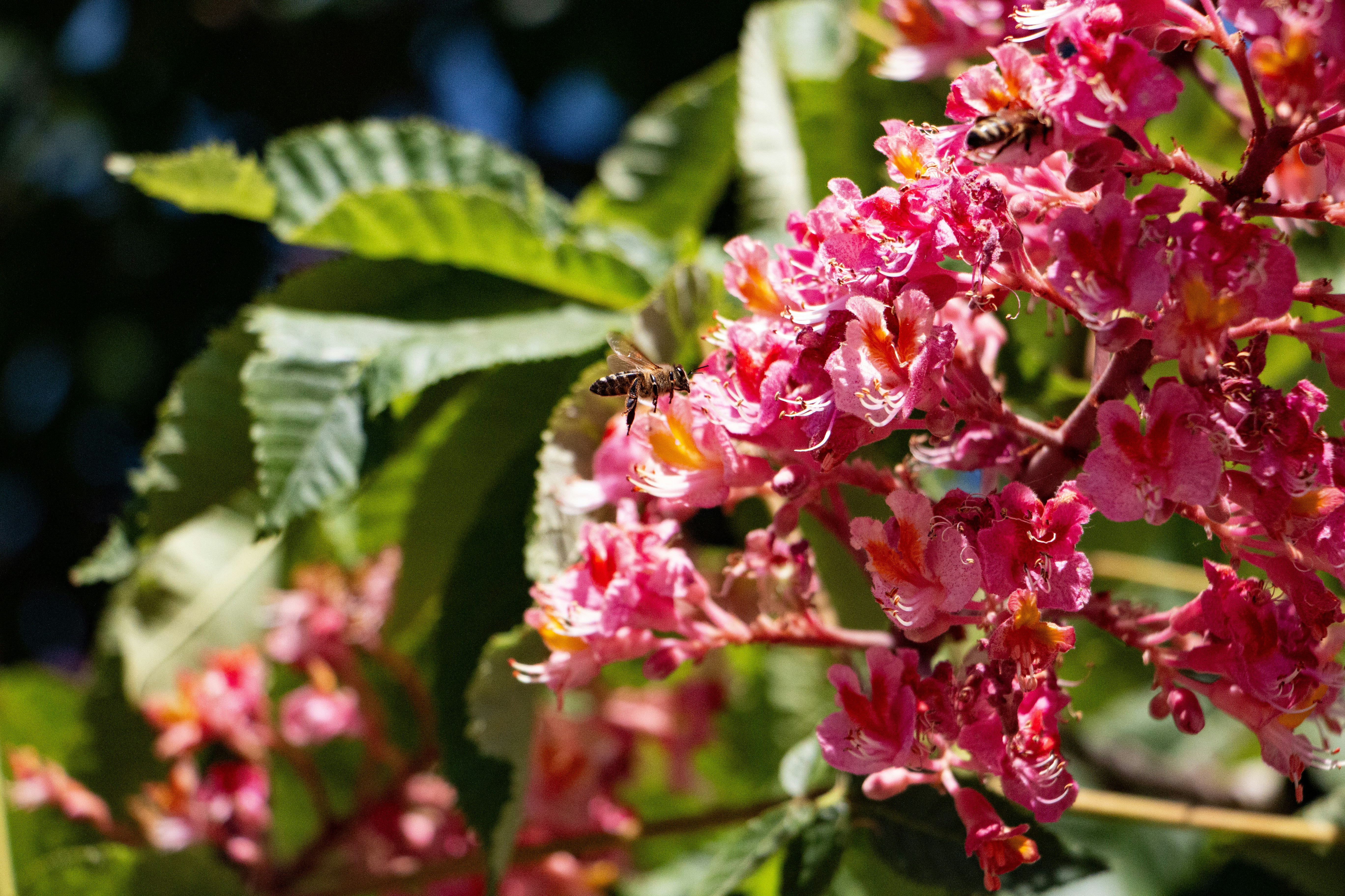 Photo by stepan_konev