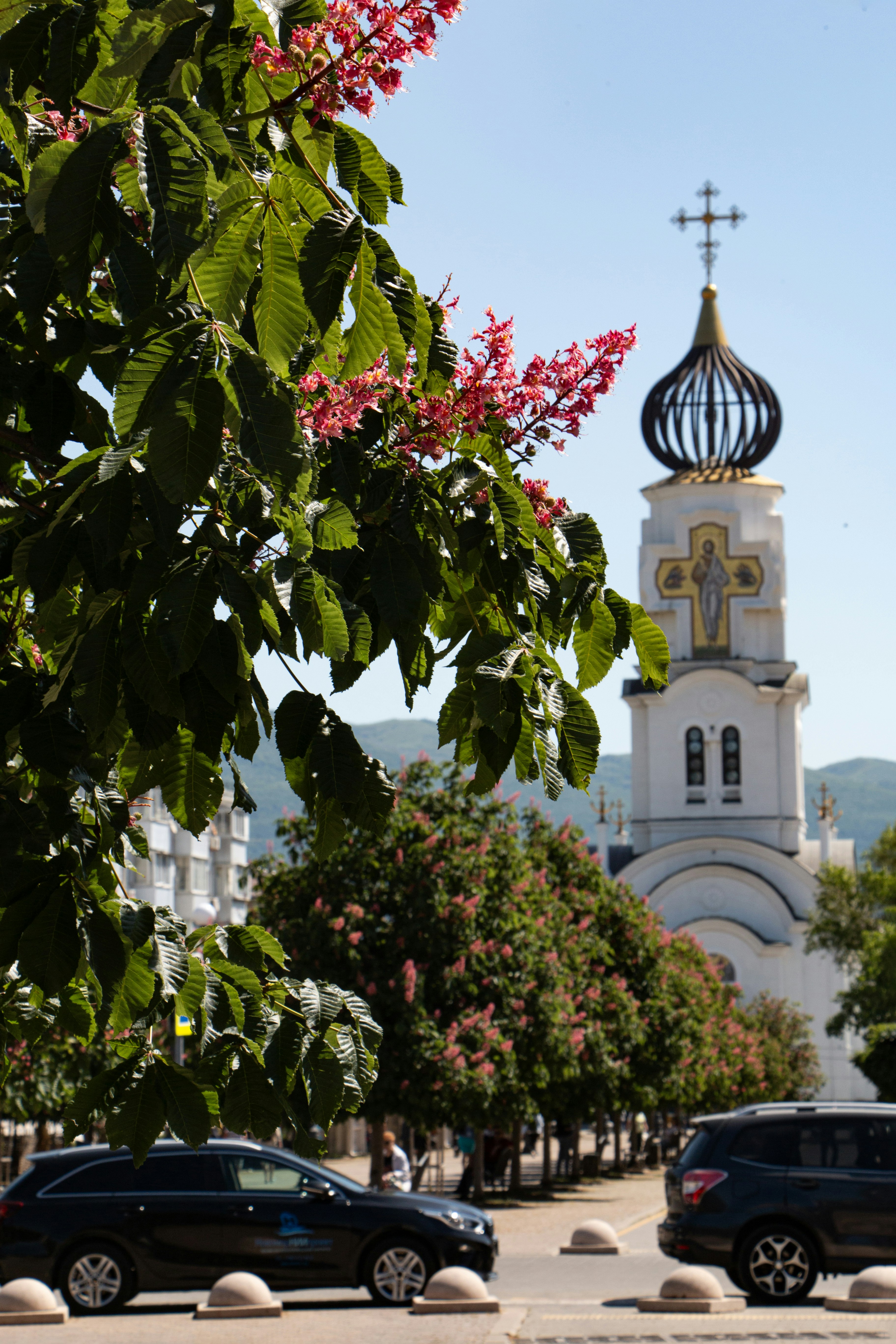 Photo by stepan_konev