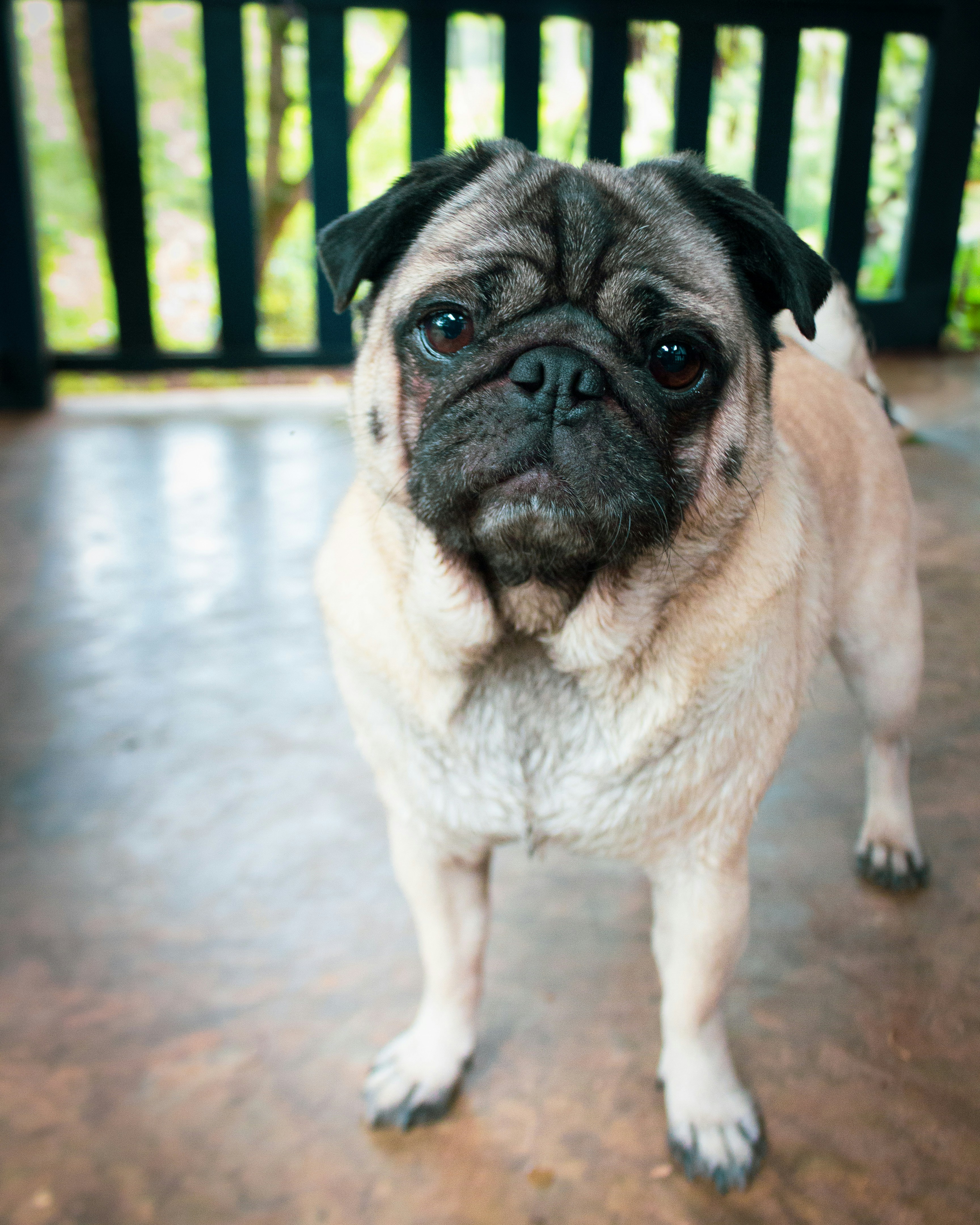 Photo by lucasdalamartaphoto