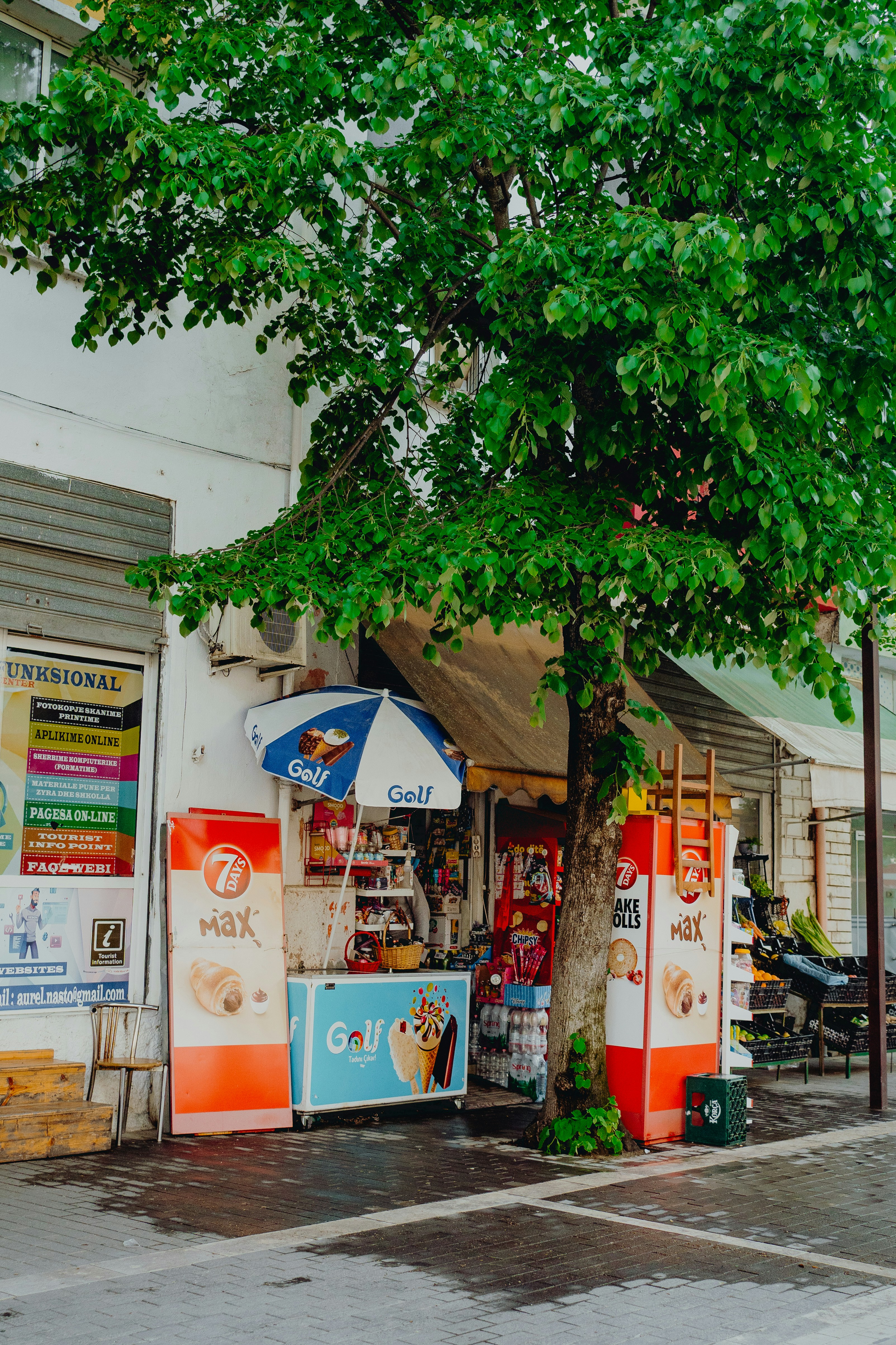 Photo by elisadventure_photo