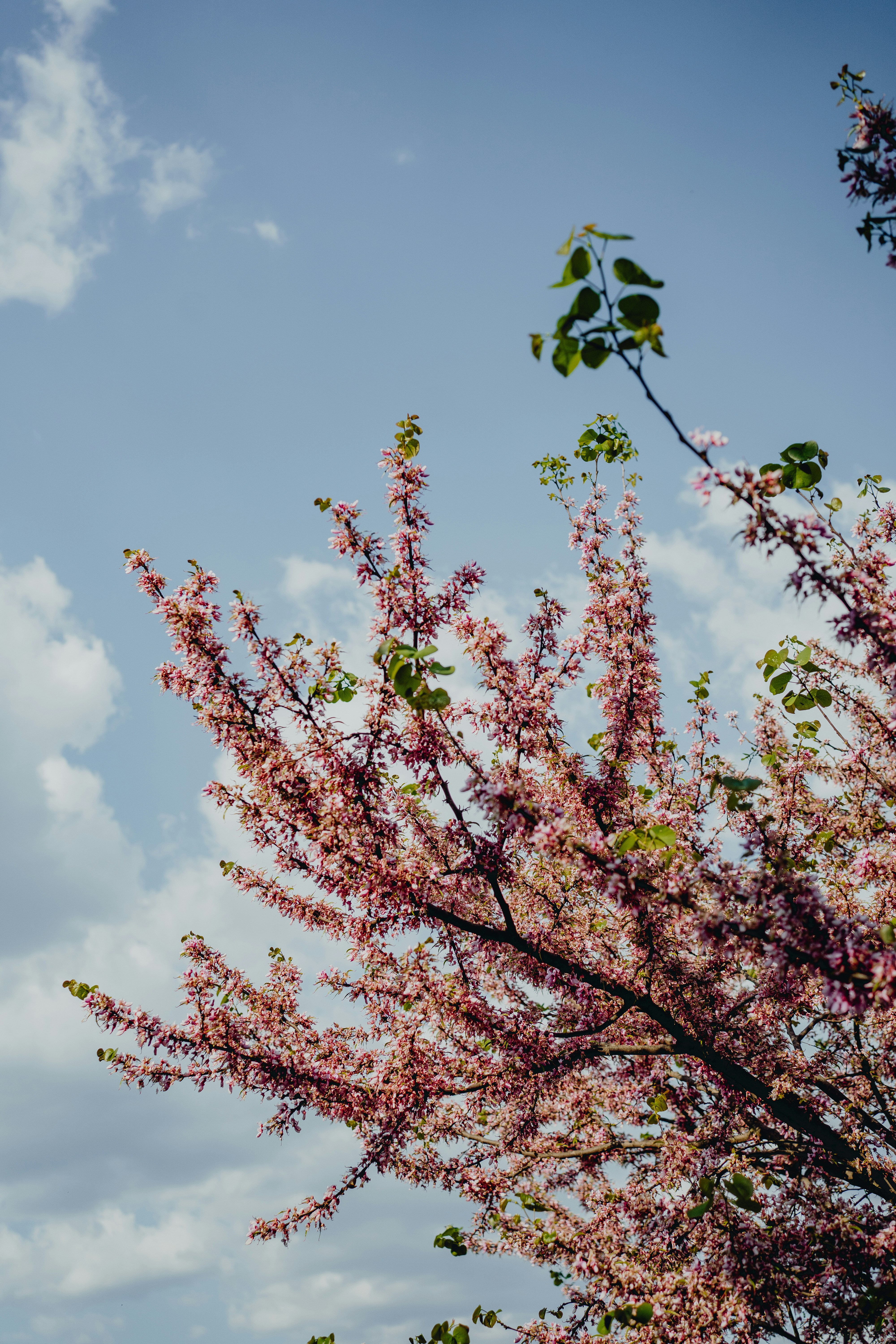 Photo by elisadventure_photo