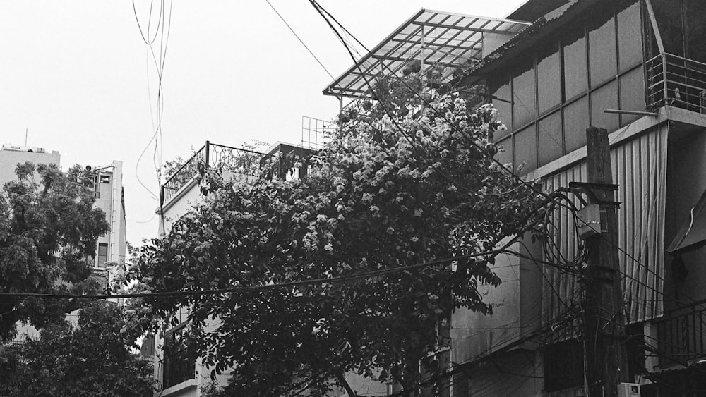 a black and white photo of a city street