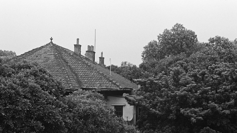 a black and white photo of a house in the woods