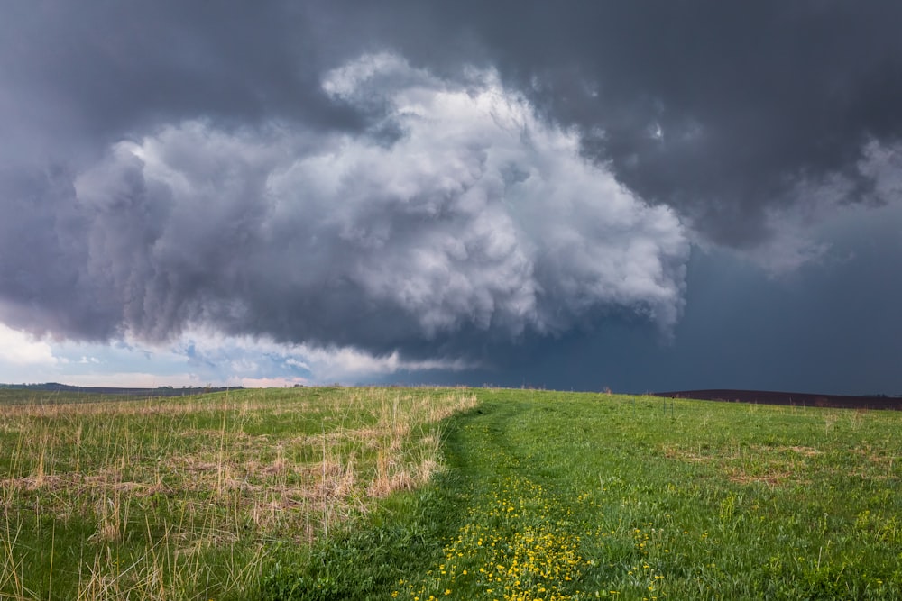 a field with a dirt path leading to a storm cloud