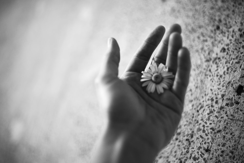 a person holding a flower in their hand