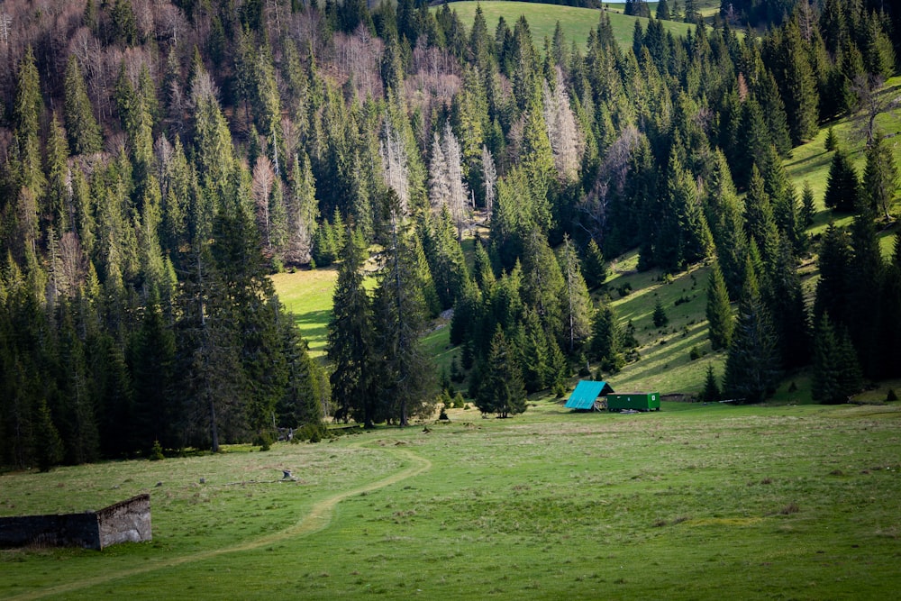 a green field with a blue cabin in the middle of it